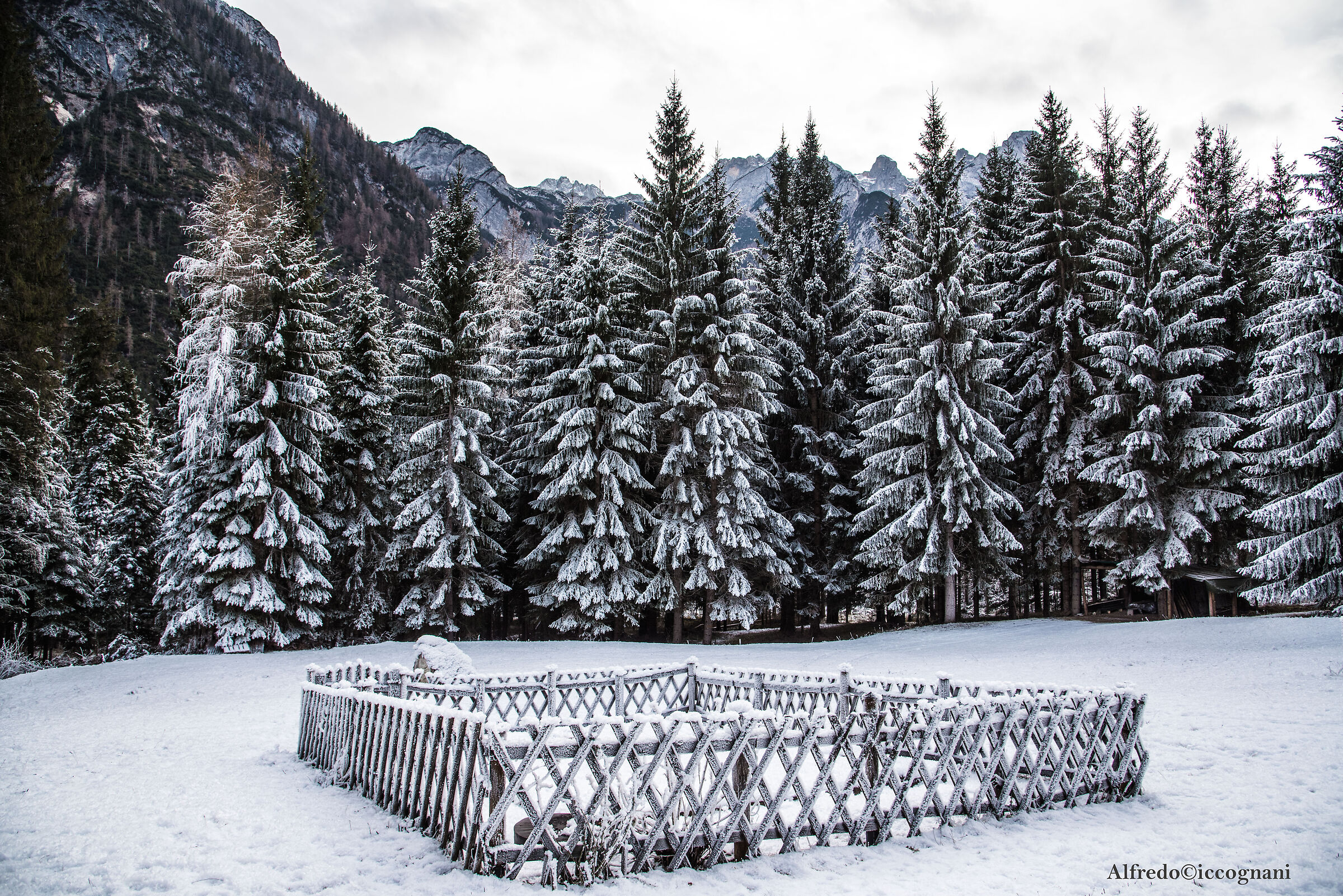 Dolomite views
