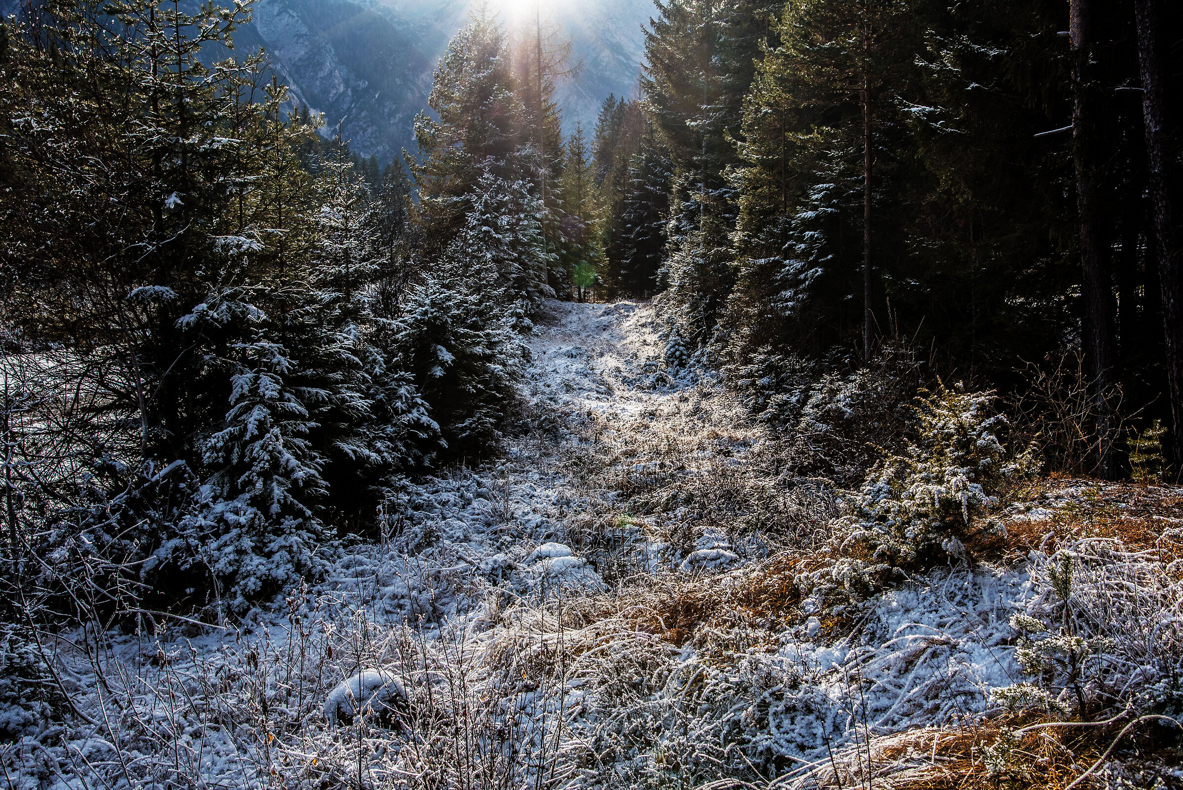 Dolomite views
