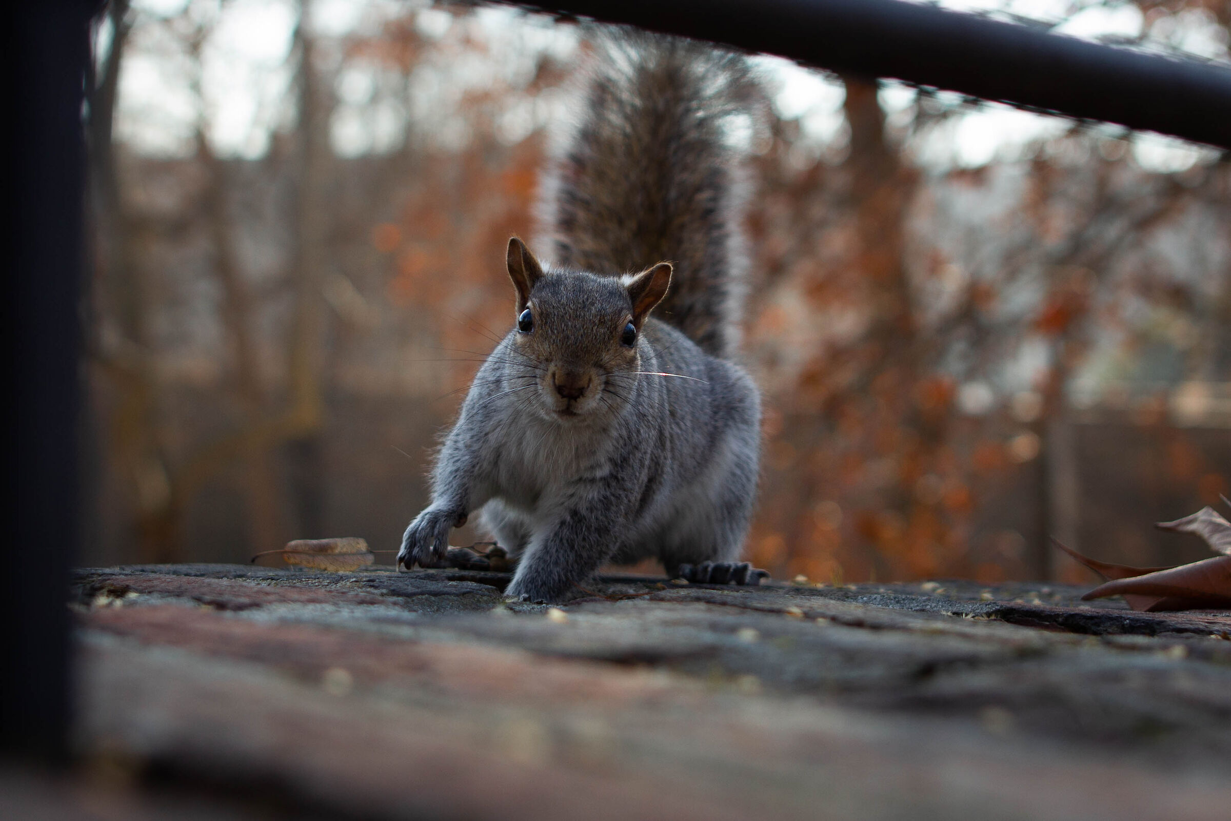 Is there something for me too?