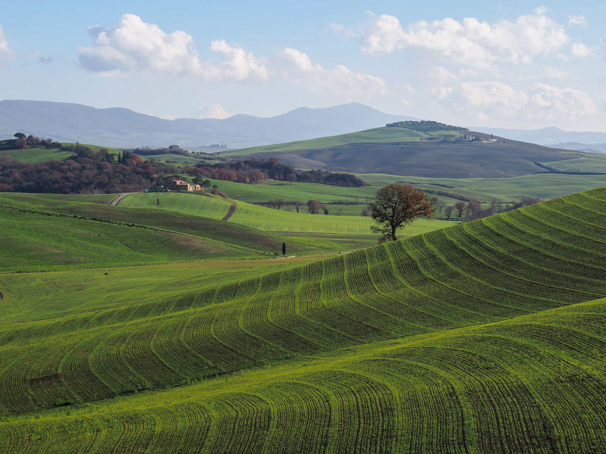 Val d'Orcia
