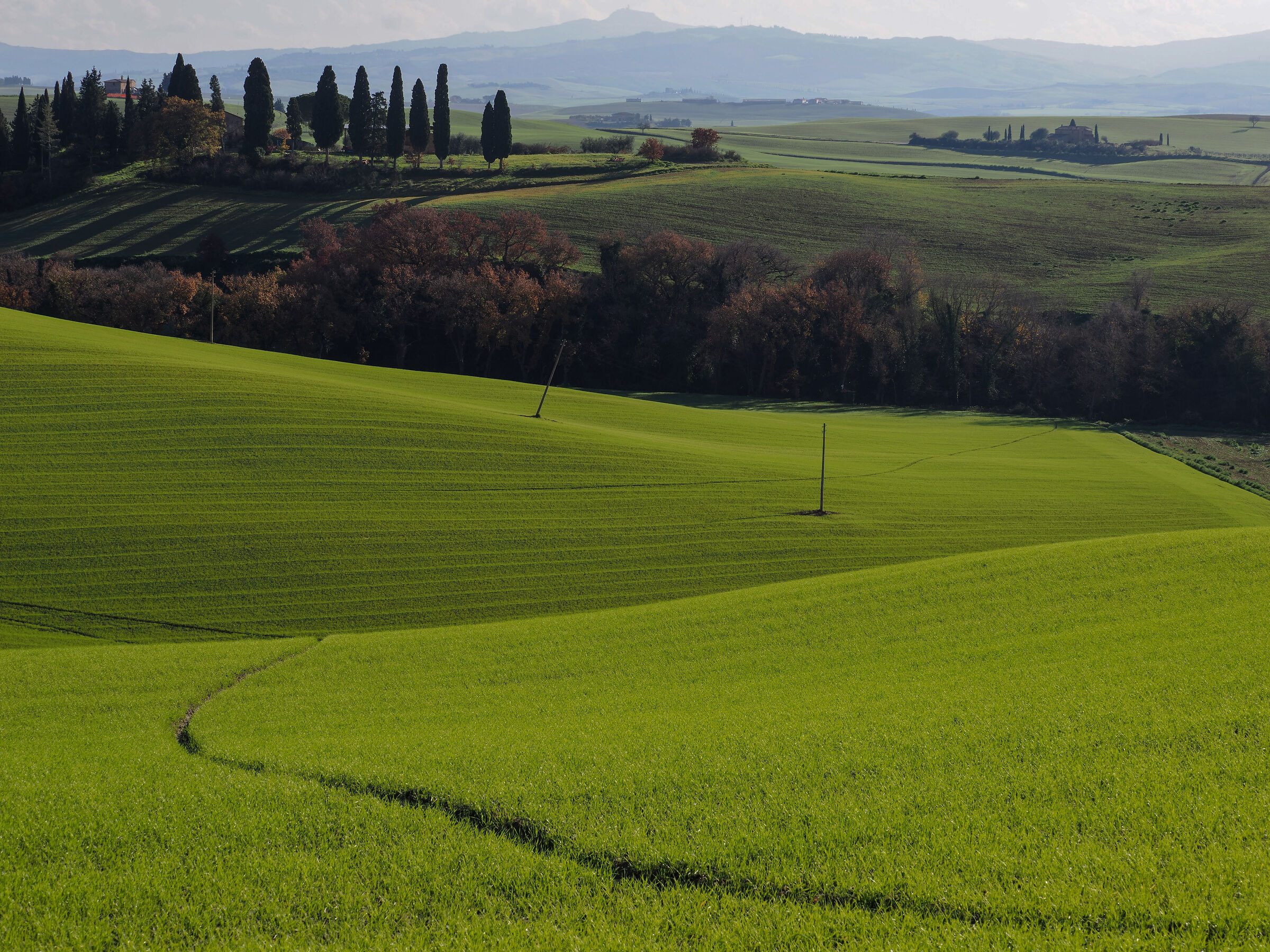 Val d'Orcia