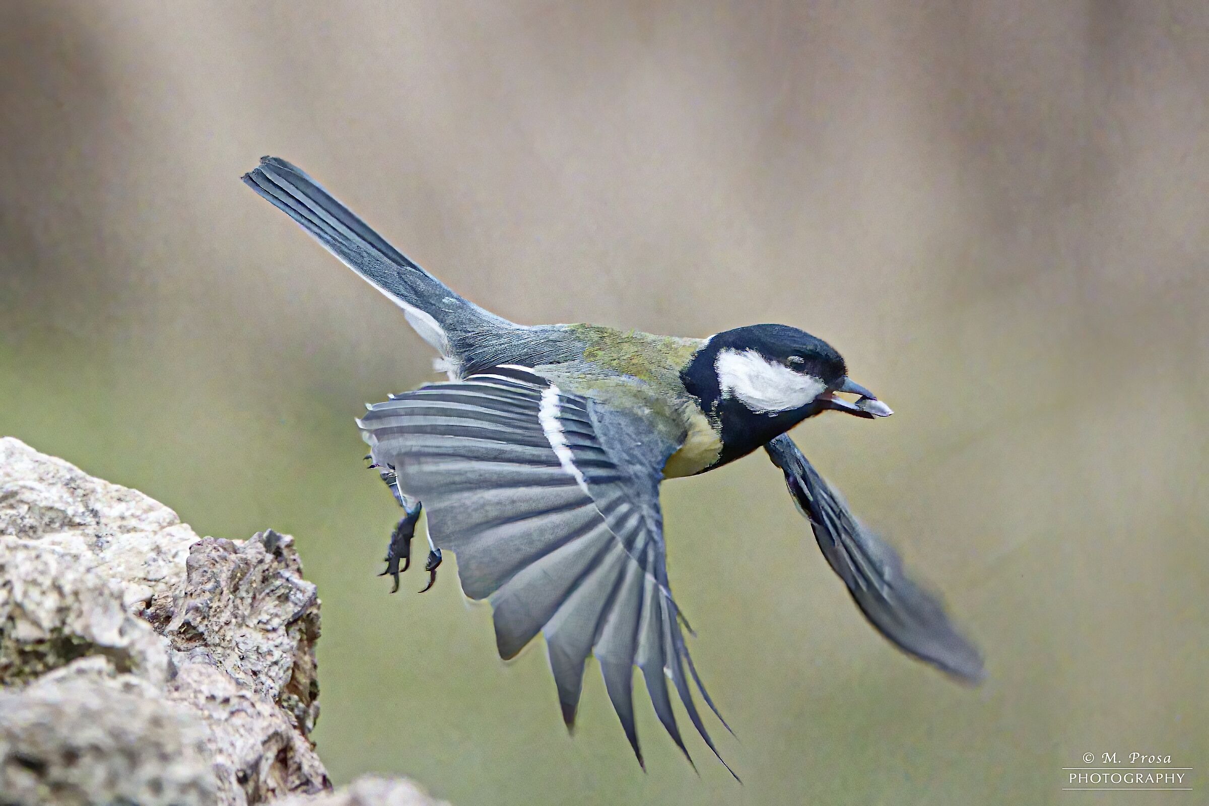 Escape with the loot