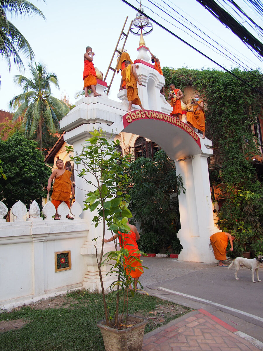 Extreme Buddhism