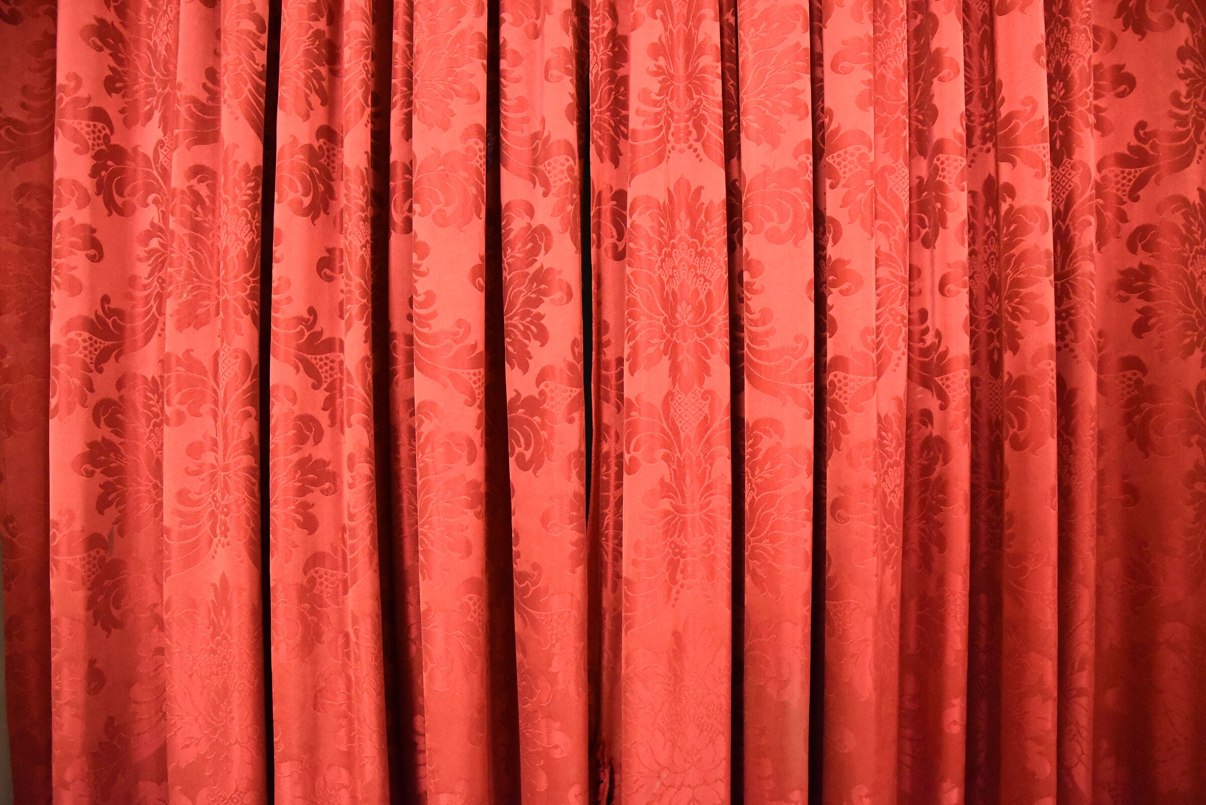 "F. 2.8", ISO DodicimilaOttocento-Nikon 24-70 F. 2...
