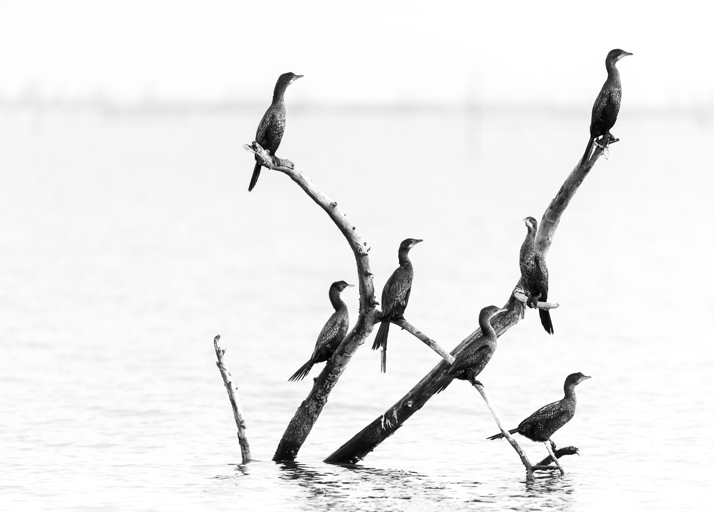 3,2,1 tutti in posa!