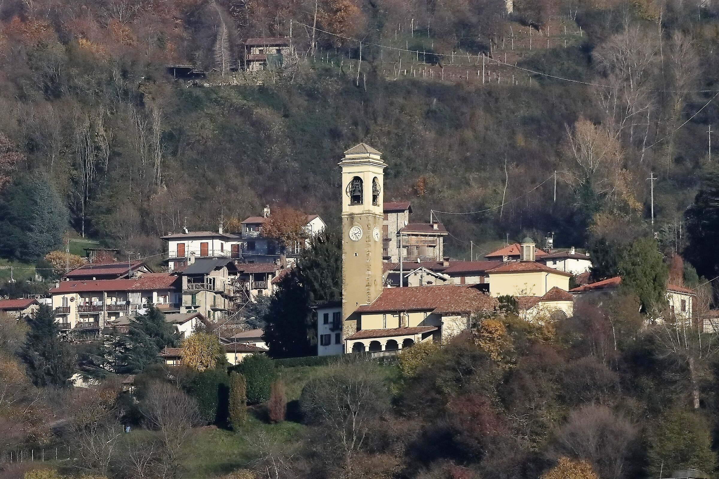 Lorentino 07 dicembre 2022