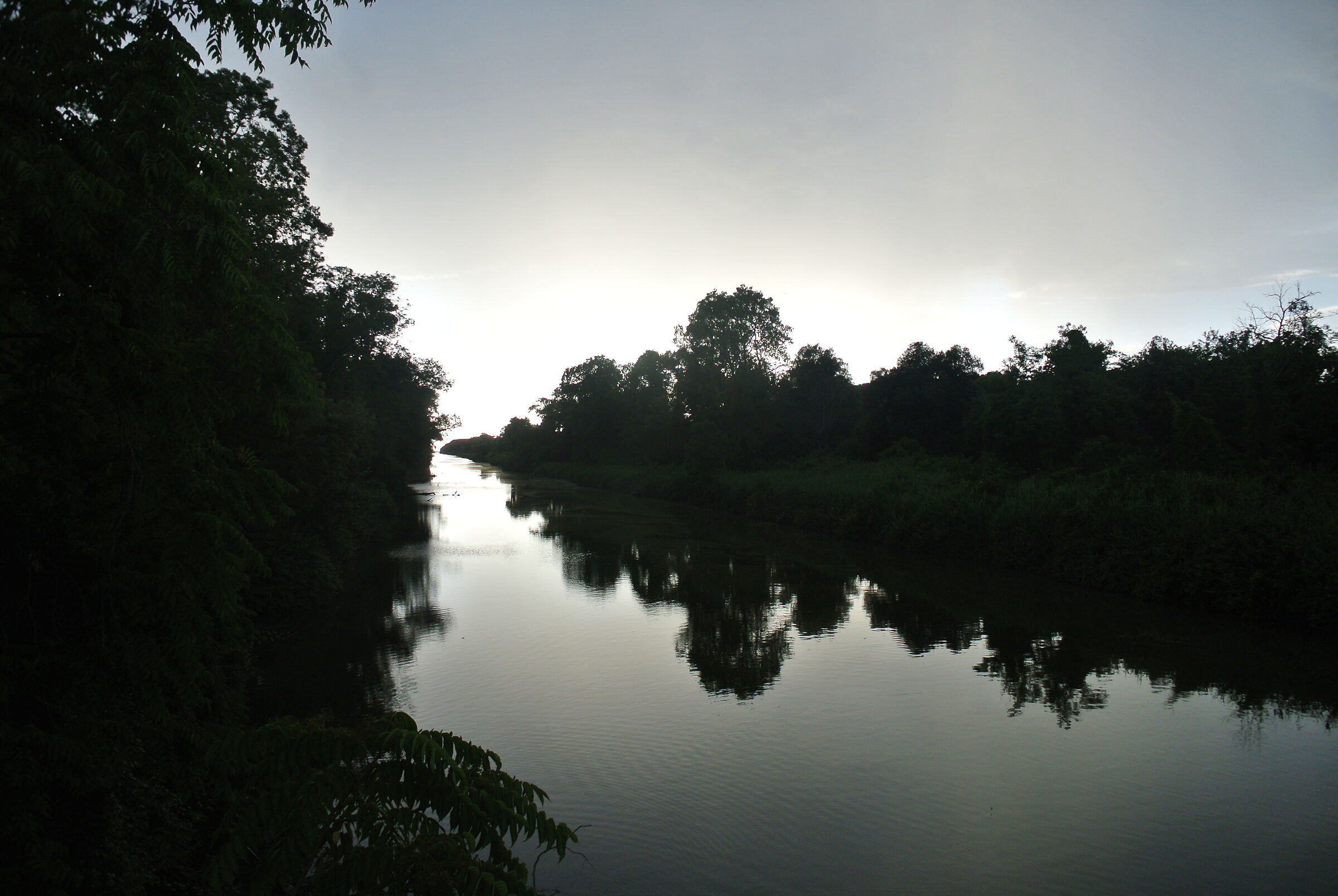 San Rossore al tramonto