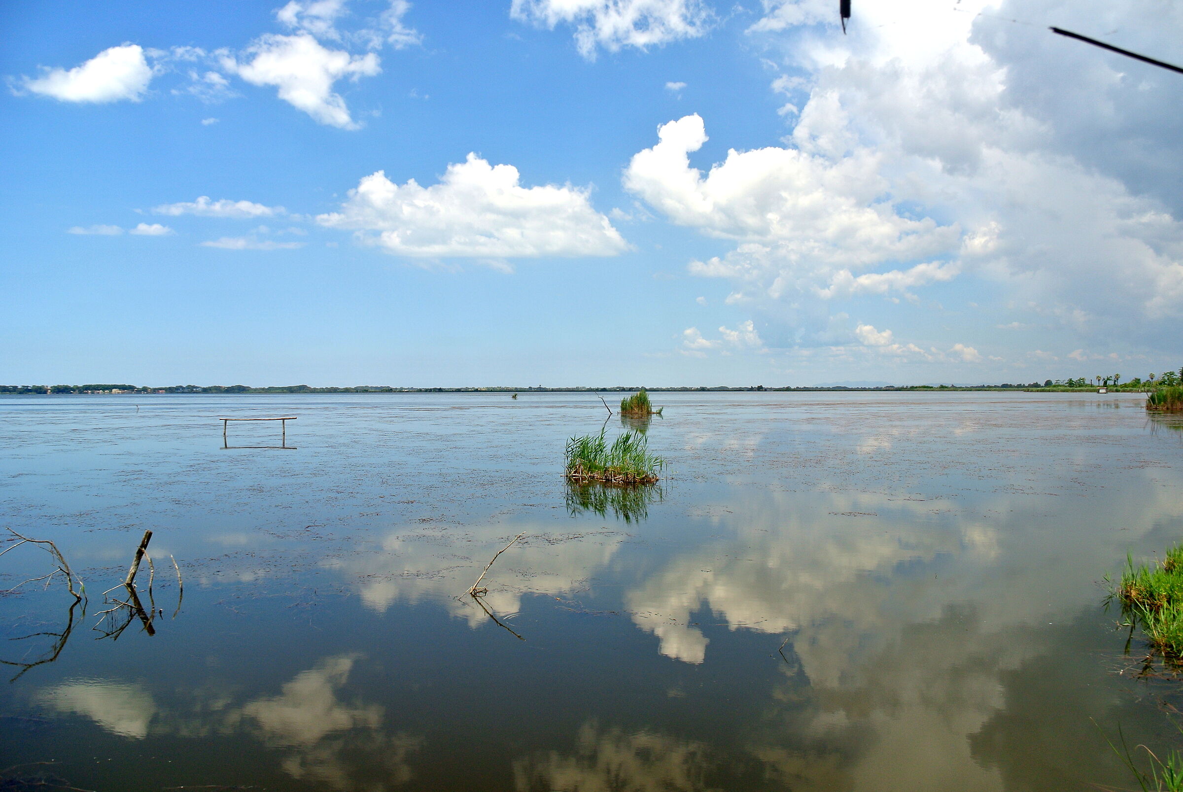Lago di Massaciuccoli