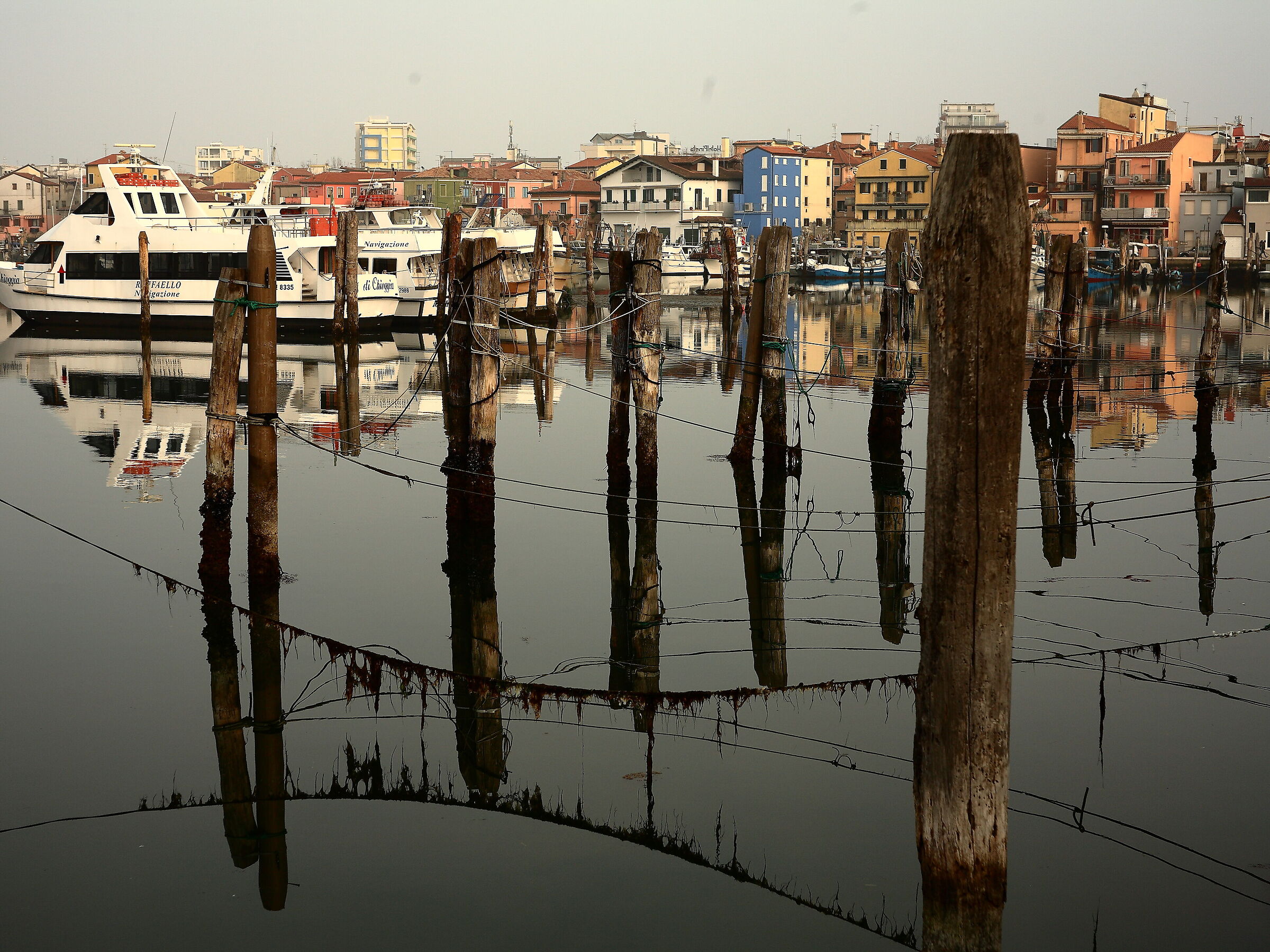 Spring is expected in Chioggia...