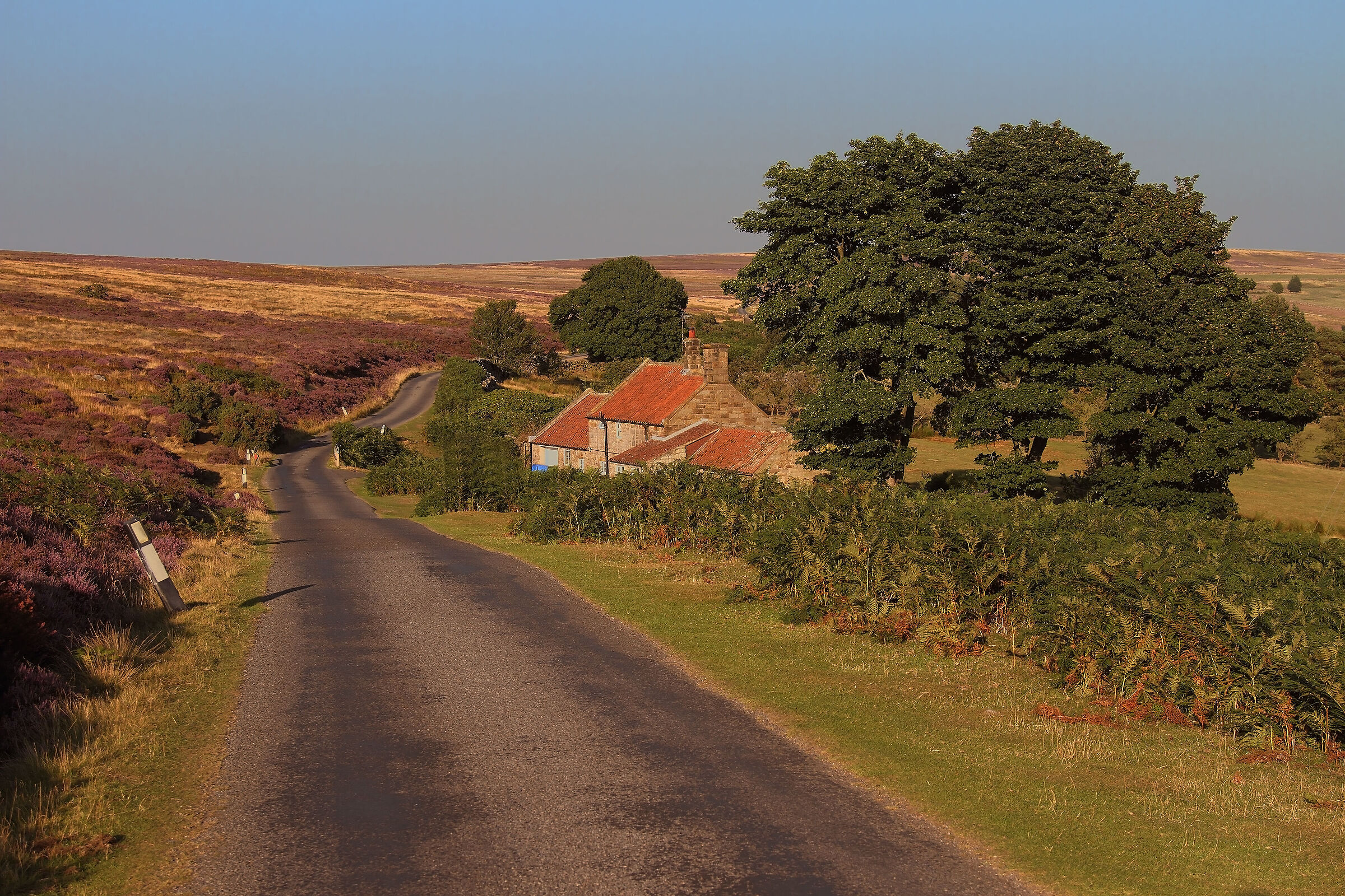 All the charm of the Yorkshire moors