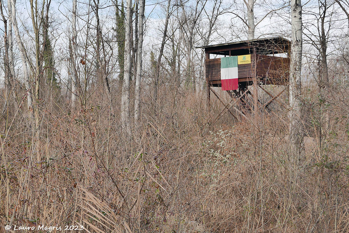 Osservatorio didattico