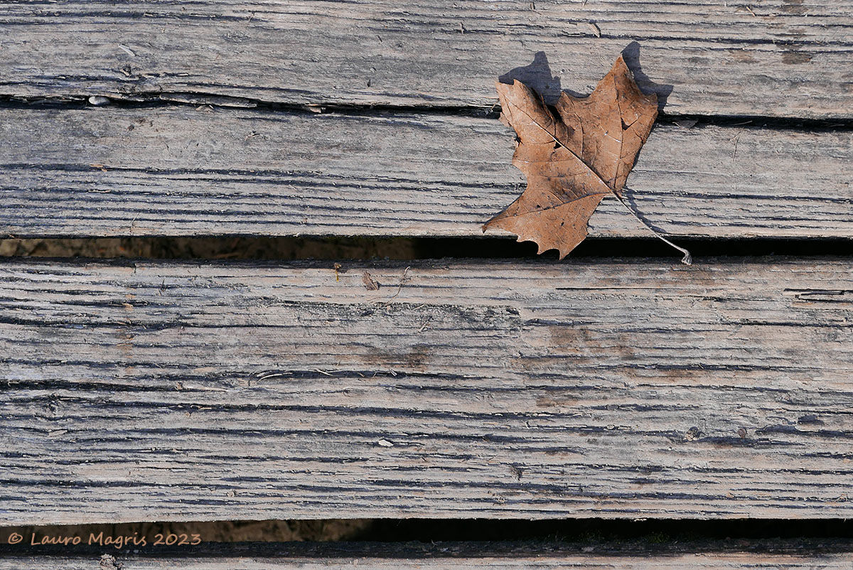 In una fredda mattina
