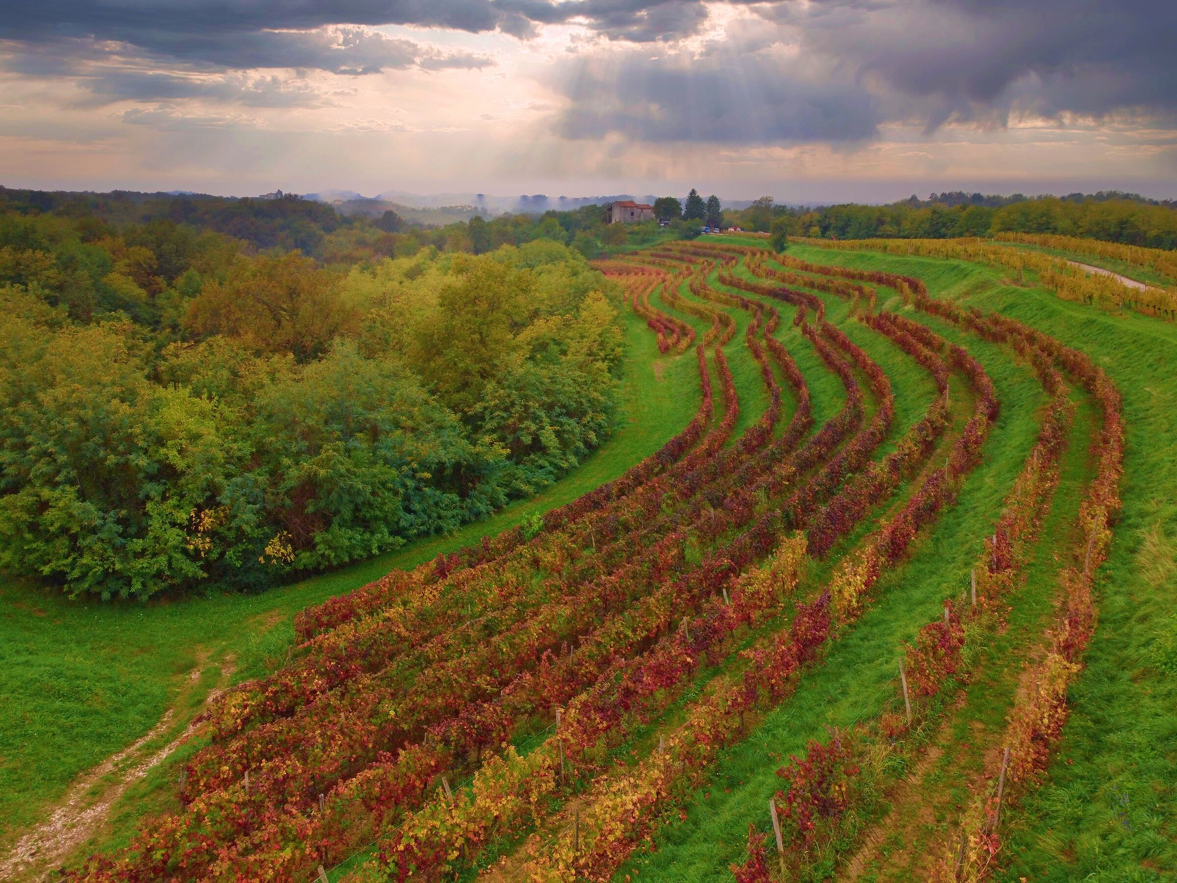 L'autunno in collina