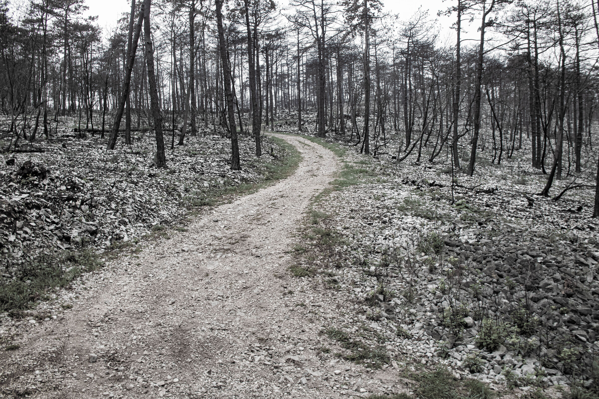 Cosa rimane ( dopo un'incendio )