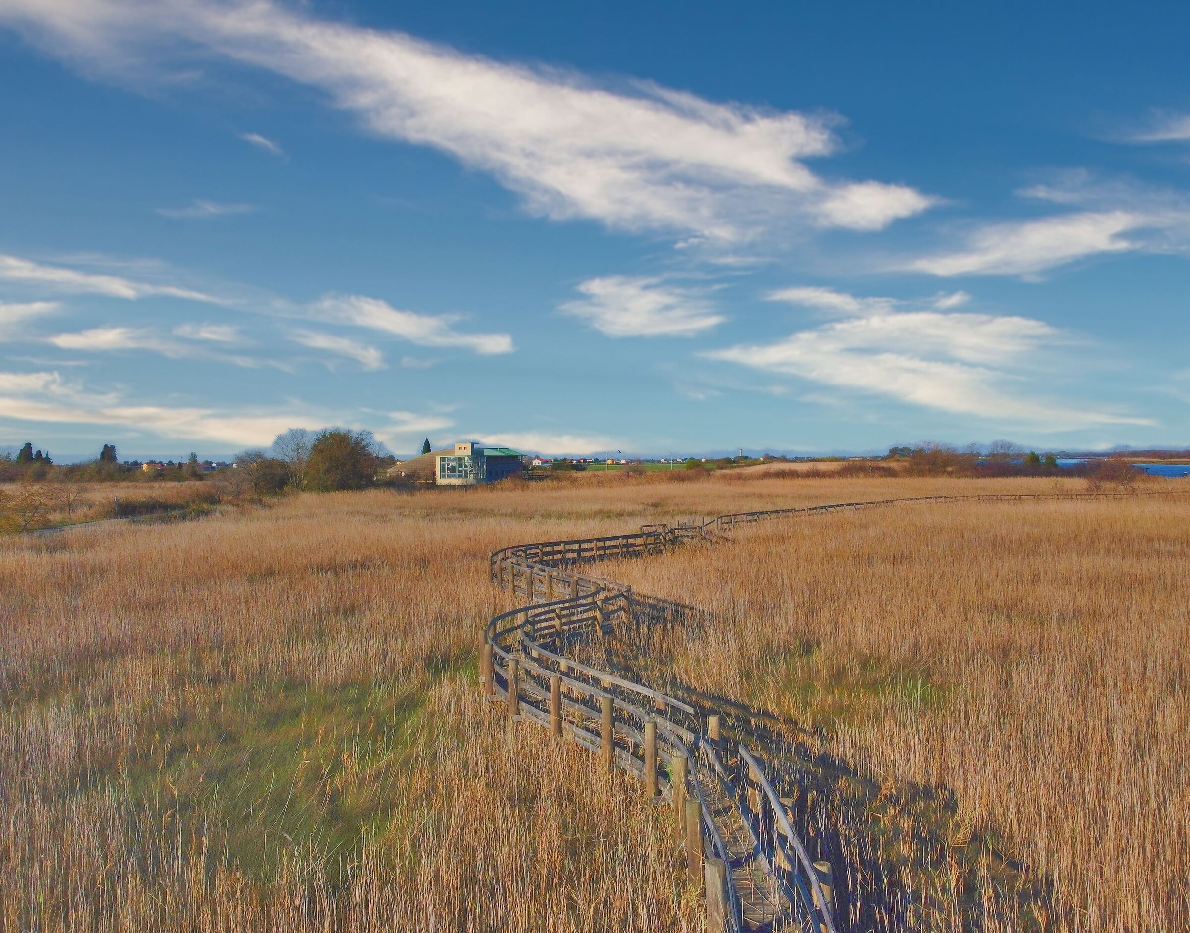 IL serpente della laguna