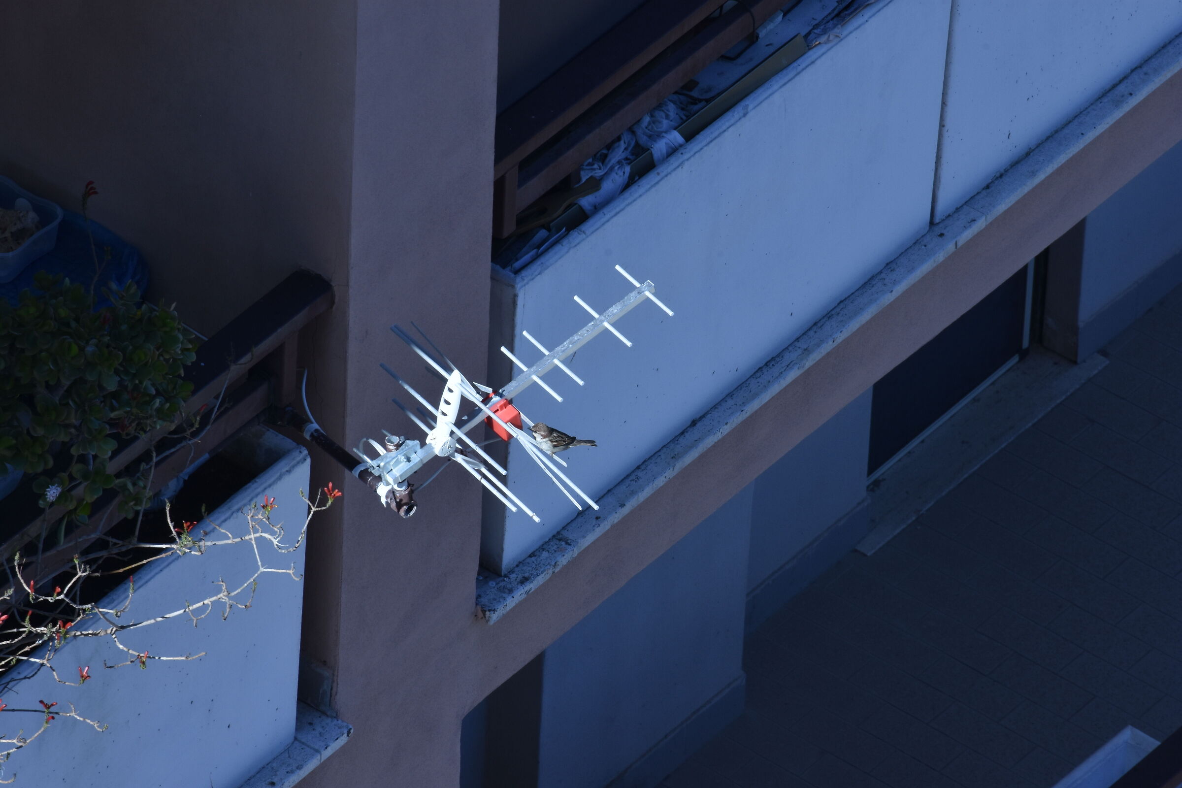 C'è nessuno incasa?