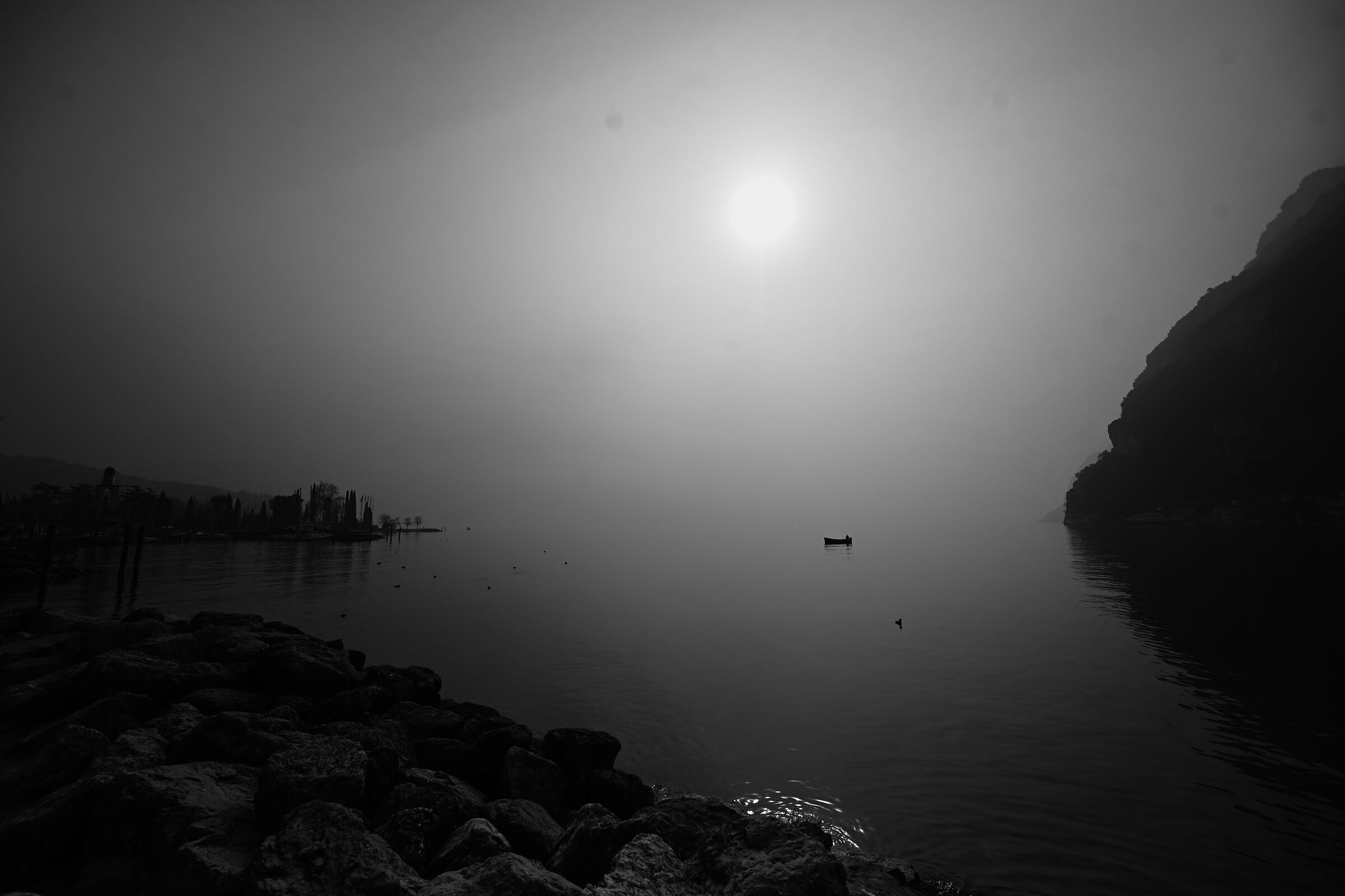 Untitled Photo
