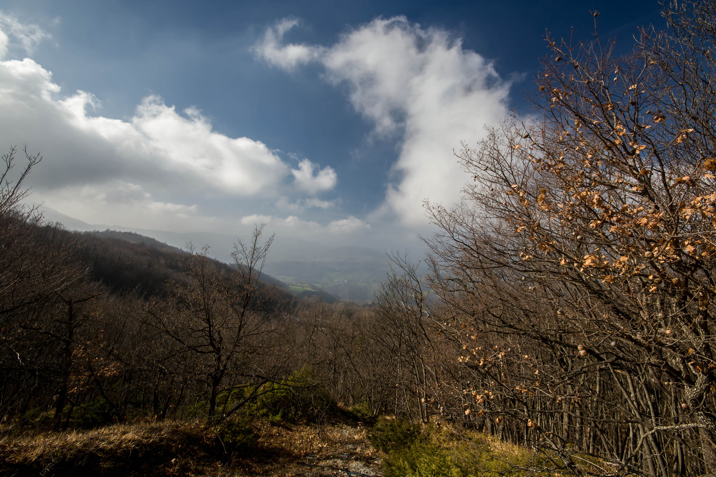 Appennino parmense