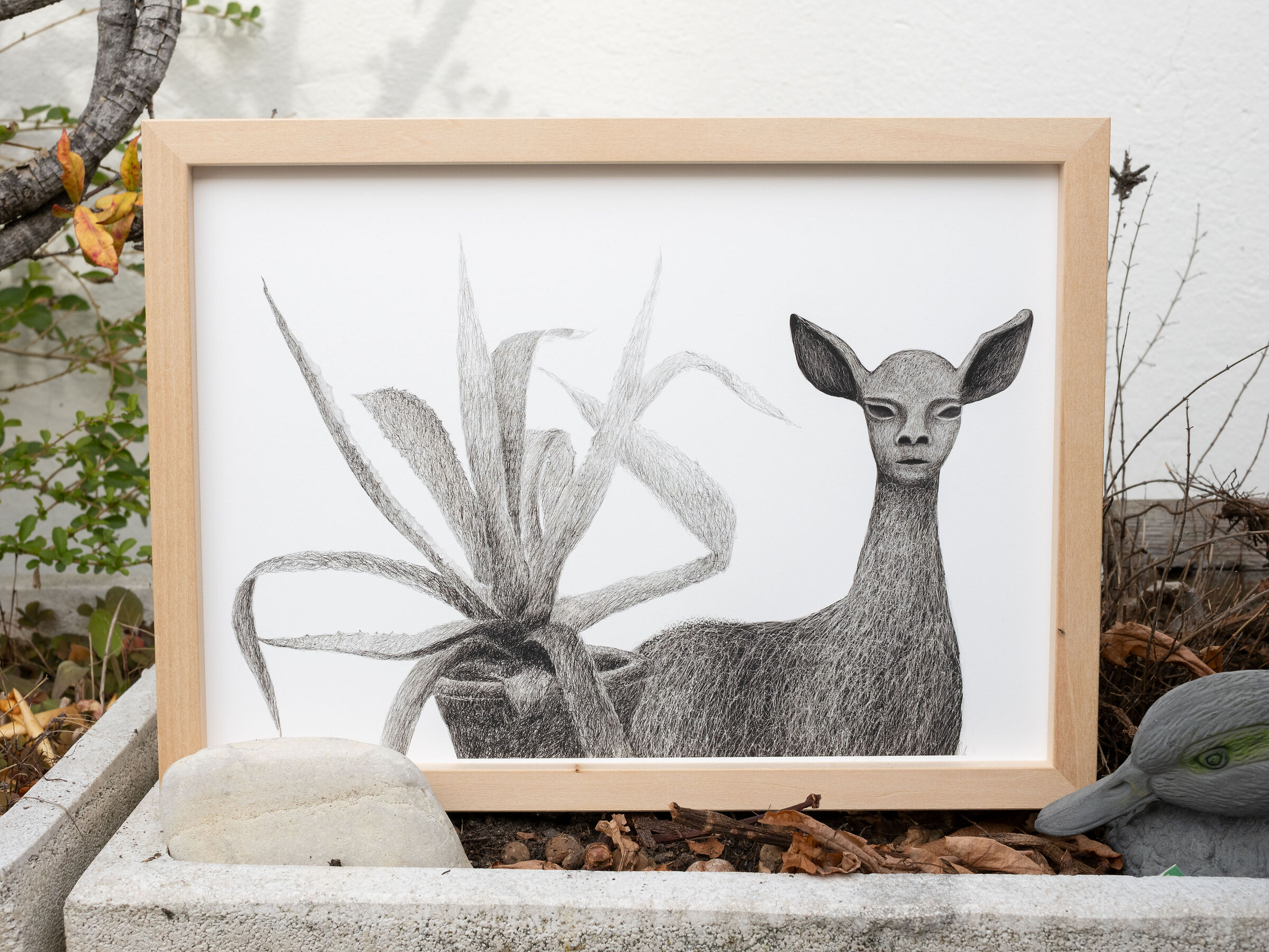 L'agave in giardino è ora disegnata coll'anim...