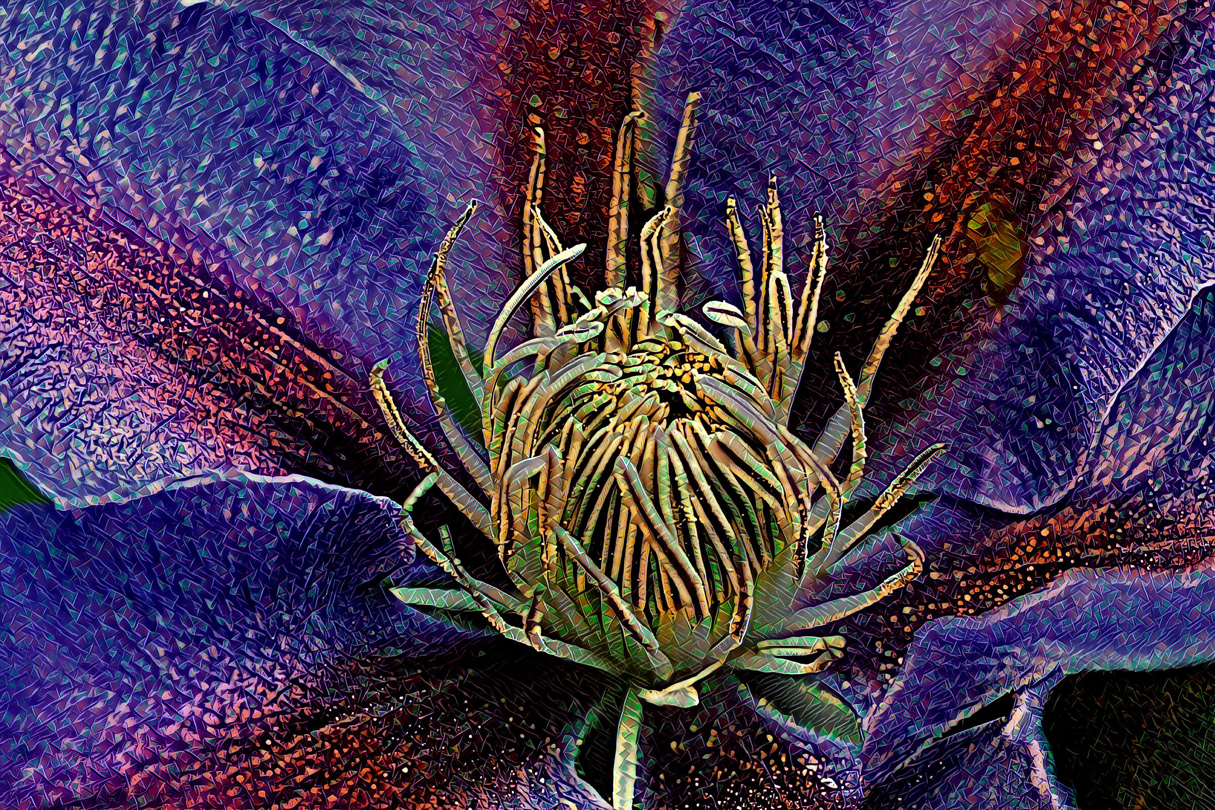 clematis