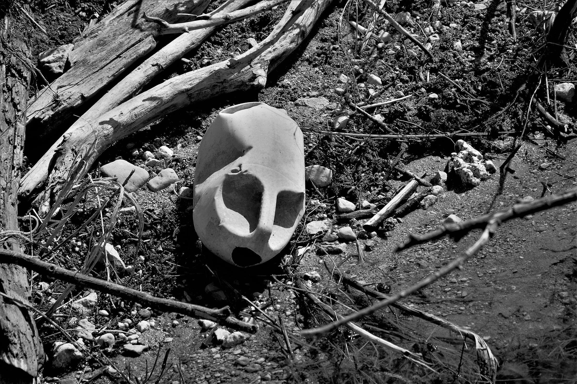 plastic skull