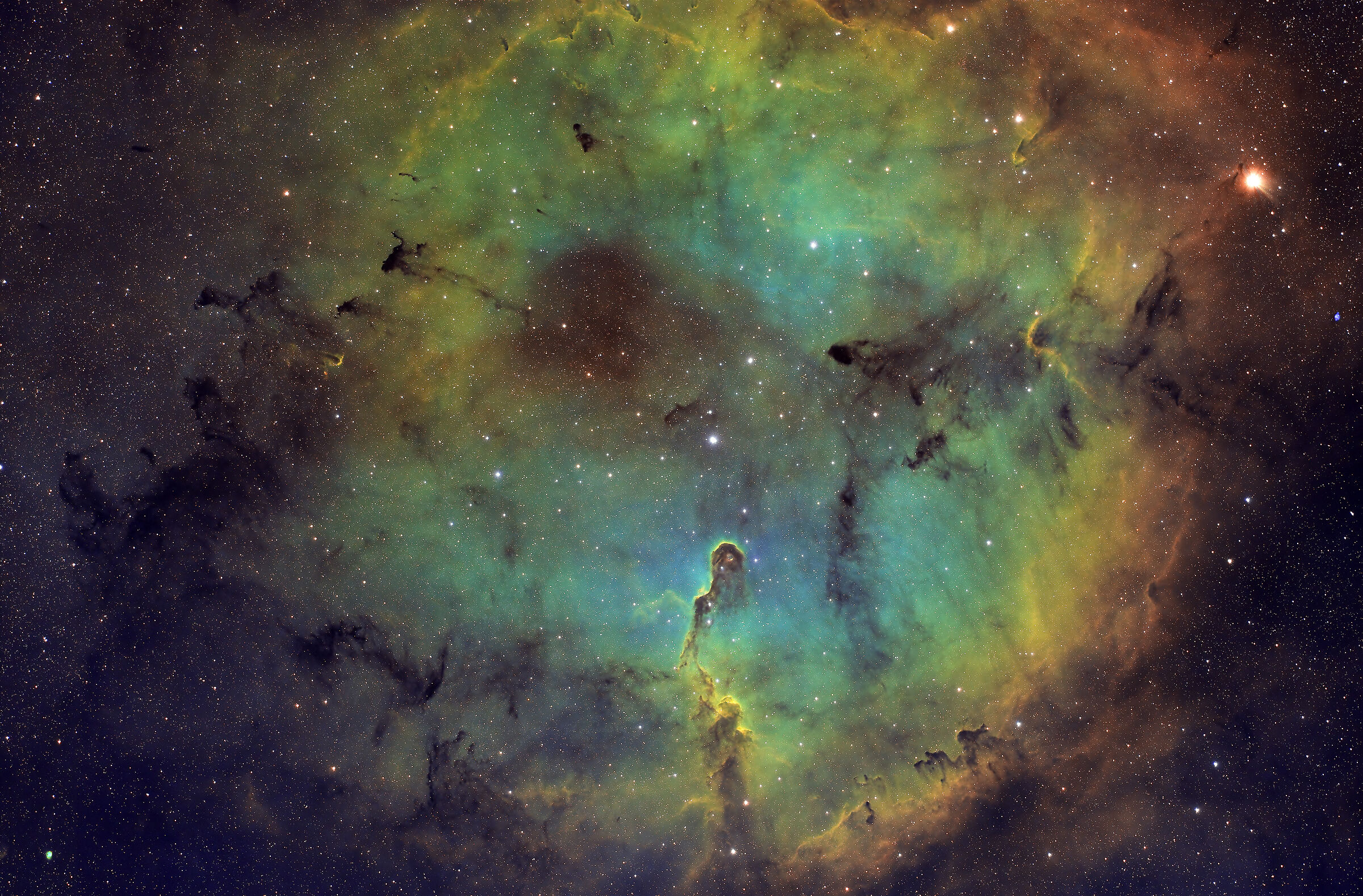 Elephant Trunk Nebula