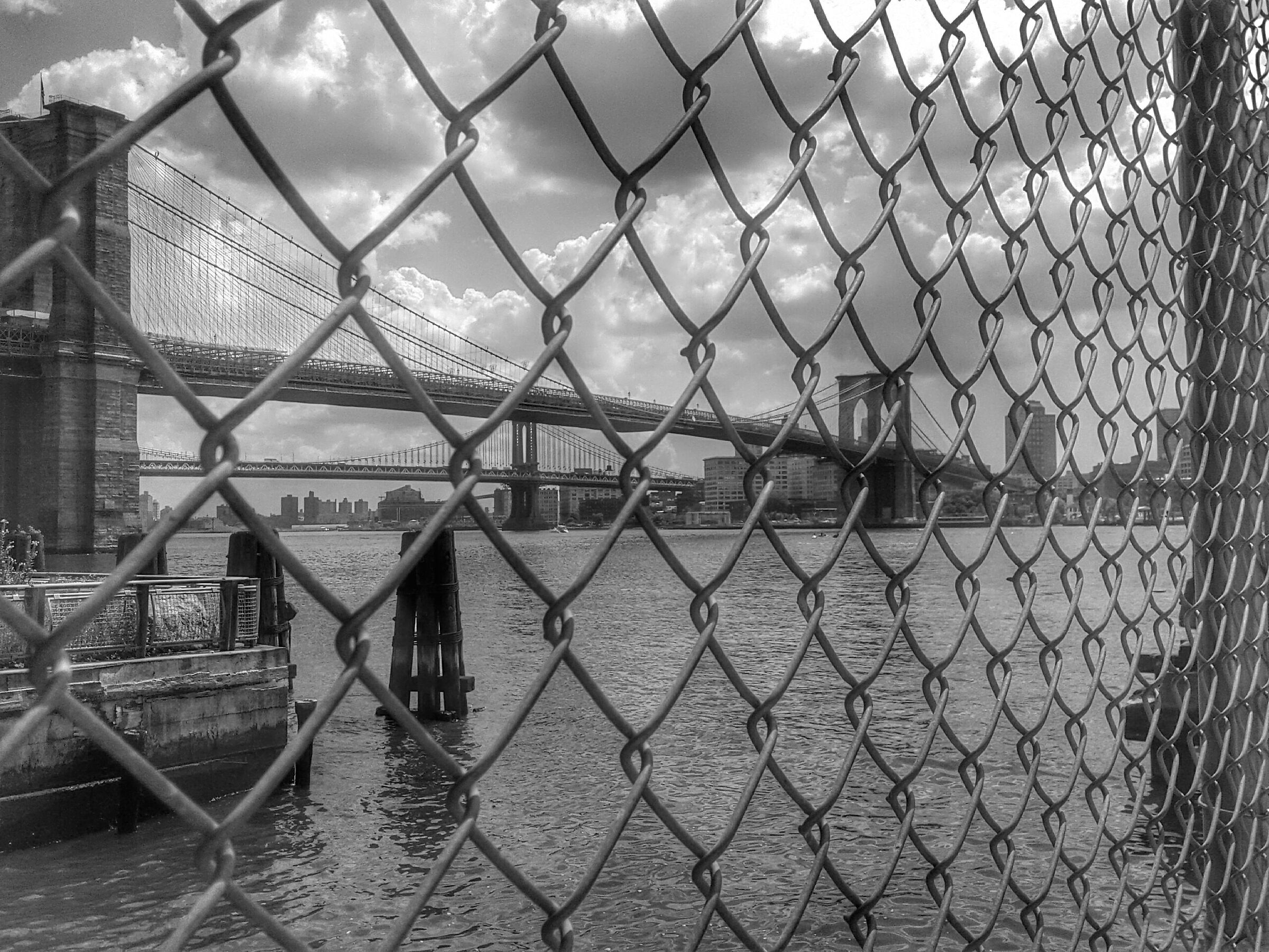 Untitled Photo