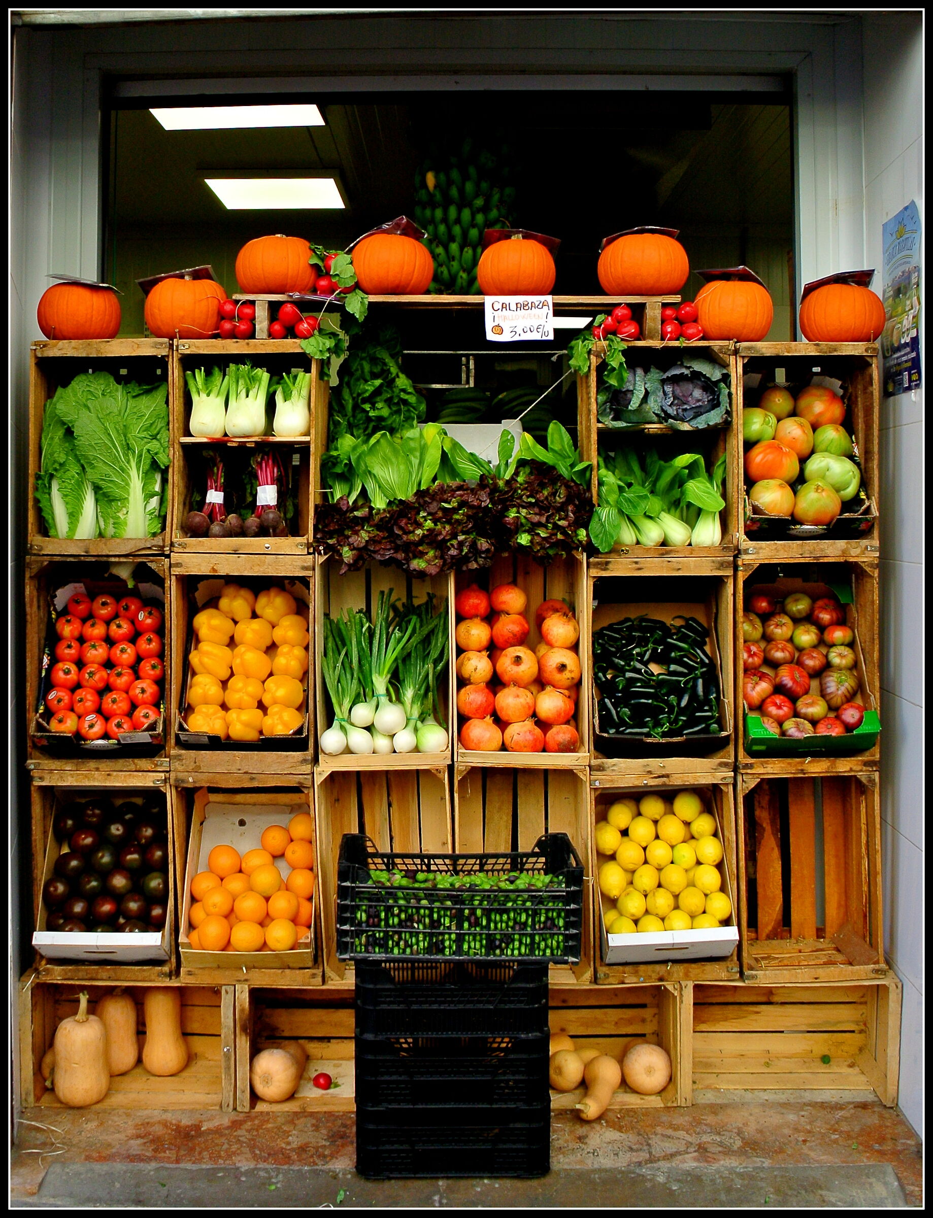 The colors of nature