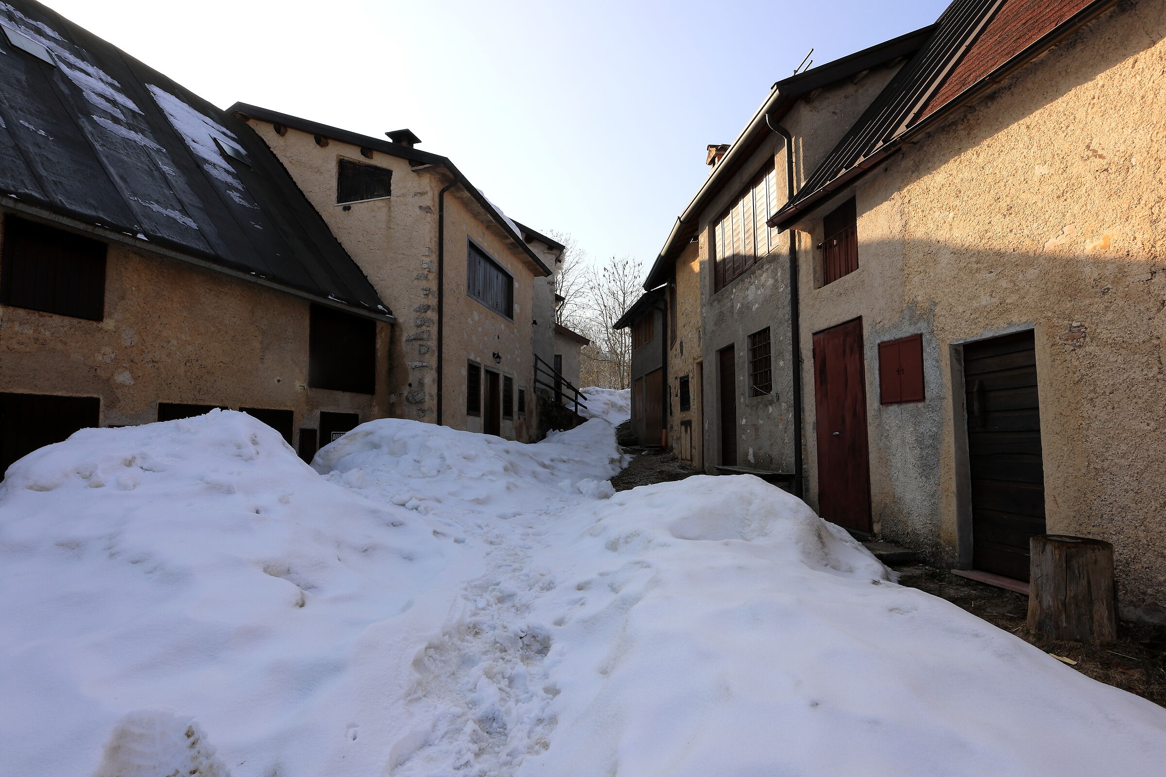 Untitled Photo