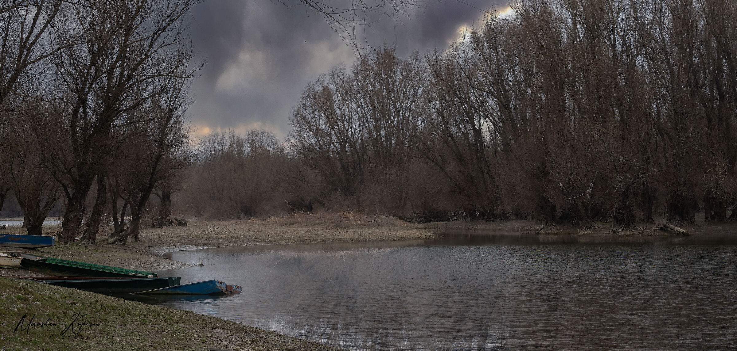 Untitled Photo