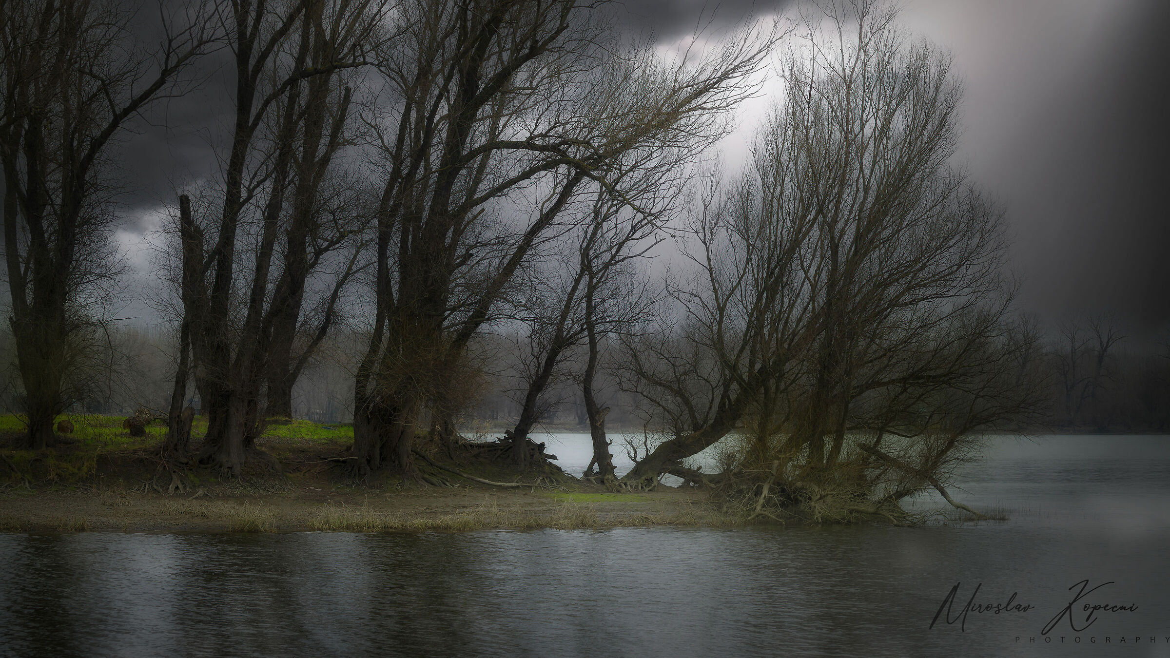 Untitled Photo