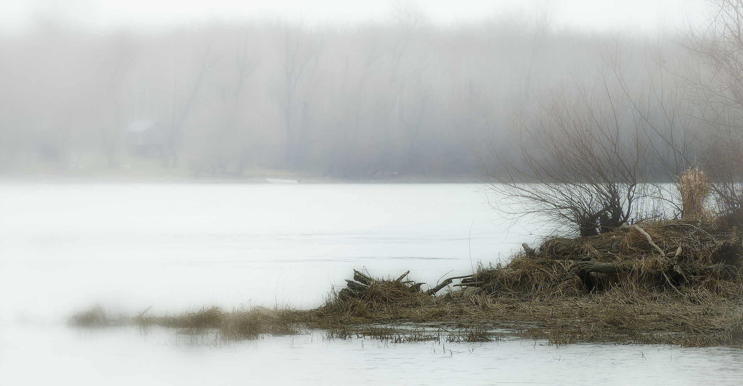Untitled Photo