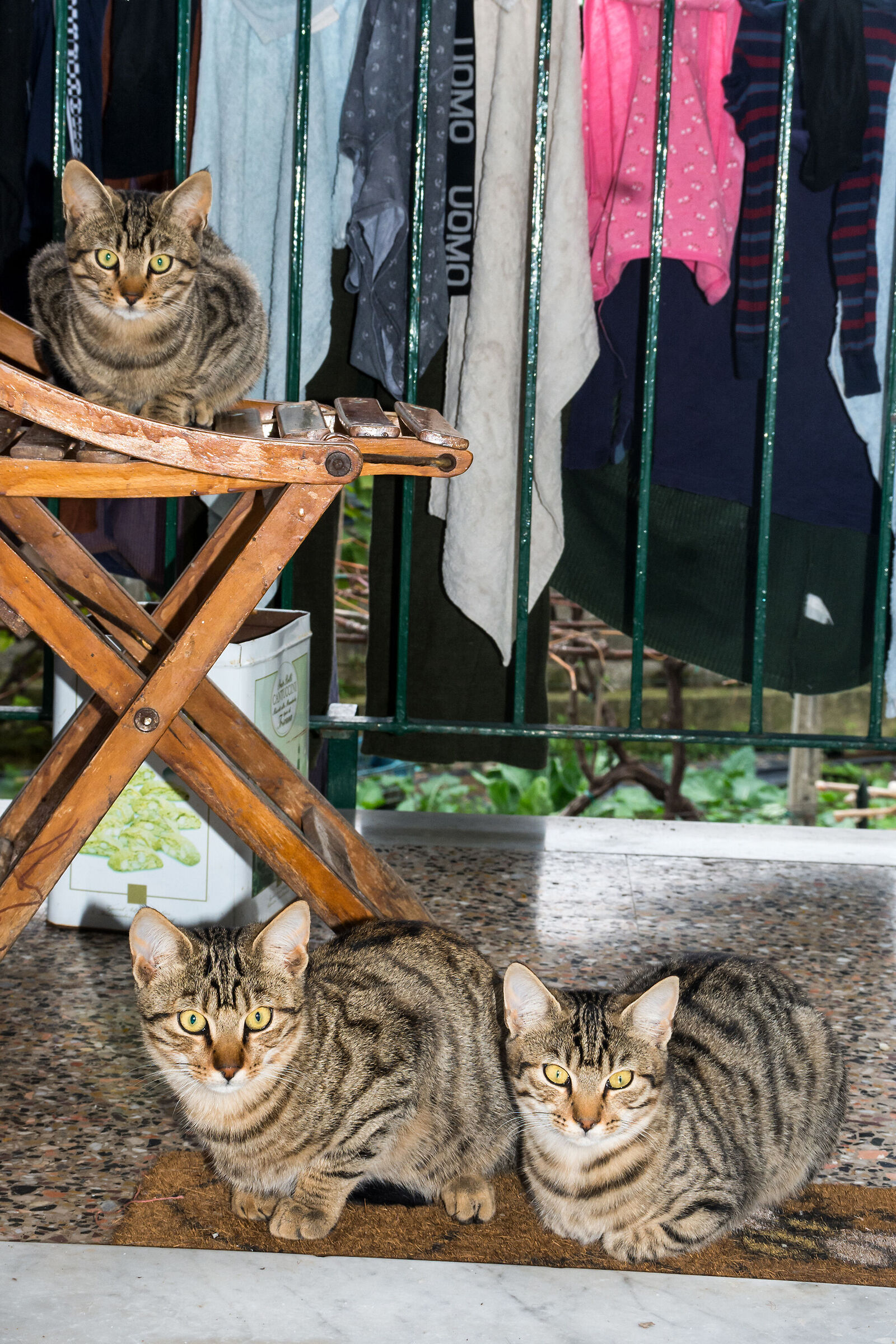 Tre fratelli
