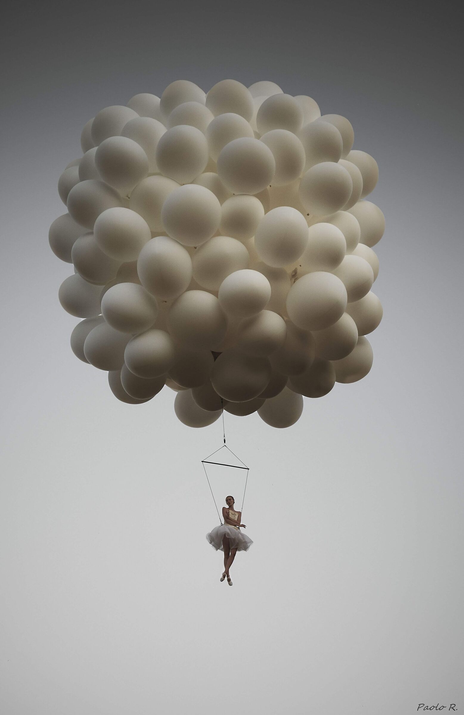 Untitled Photo