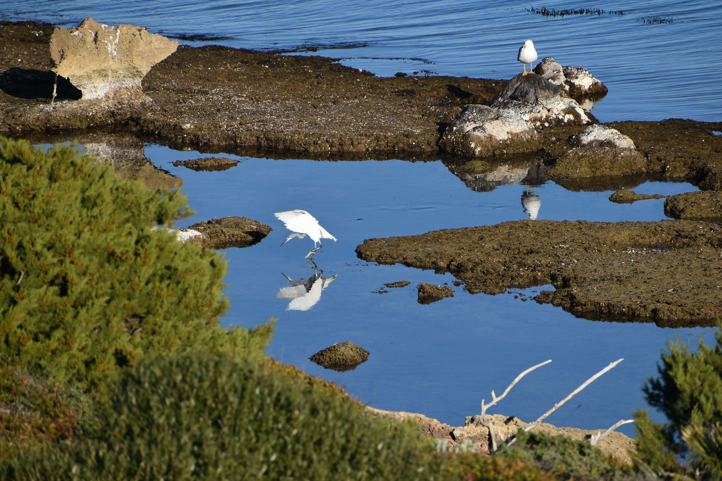Perche' non vai a pescare a casa tua......