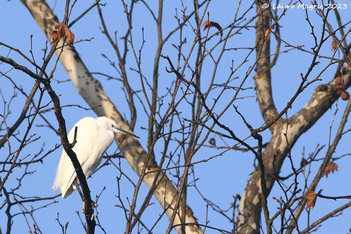Sotto i primi raggi solari