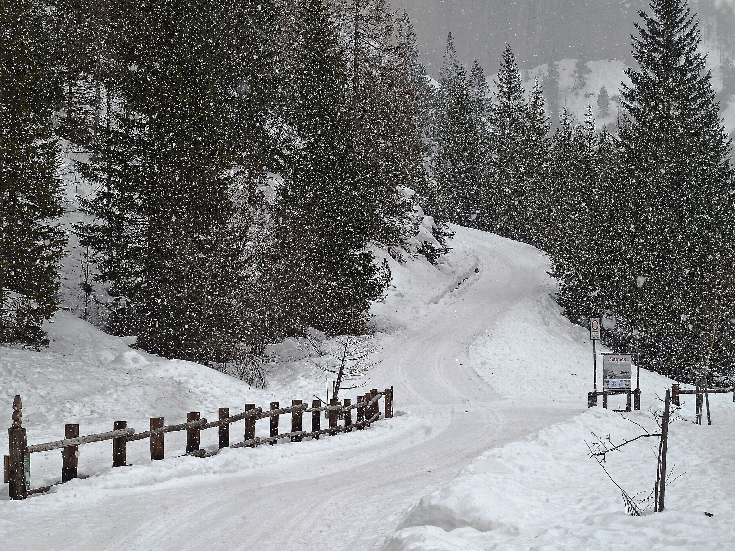 verso il Pederu