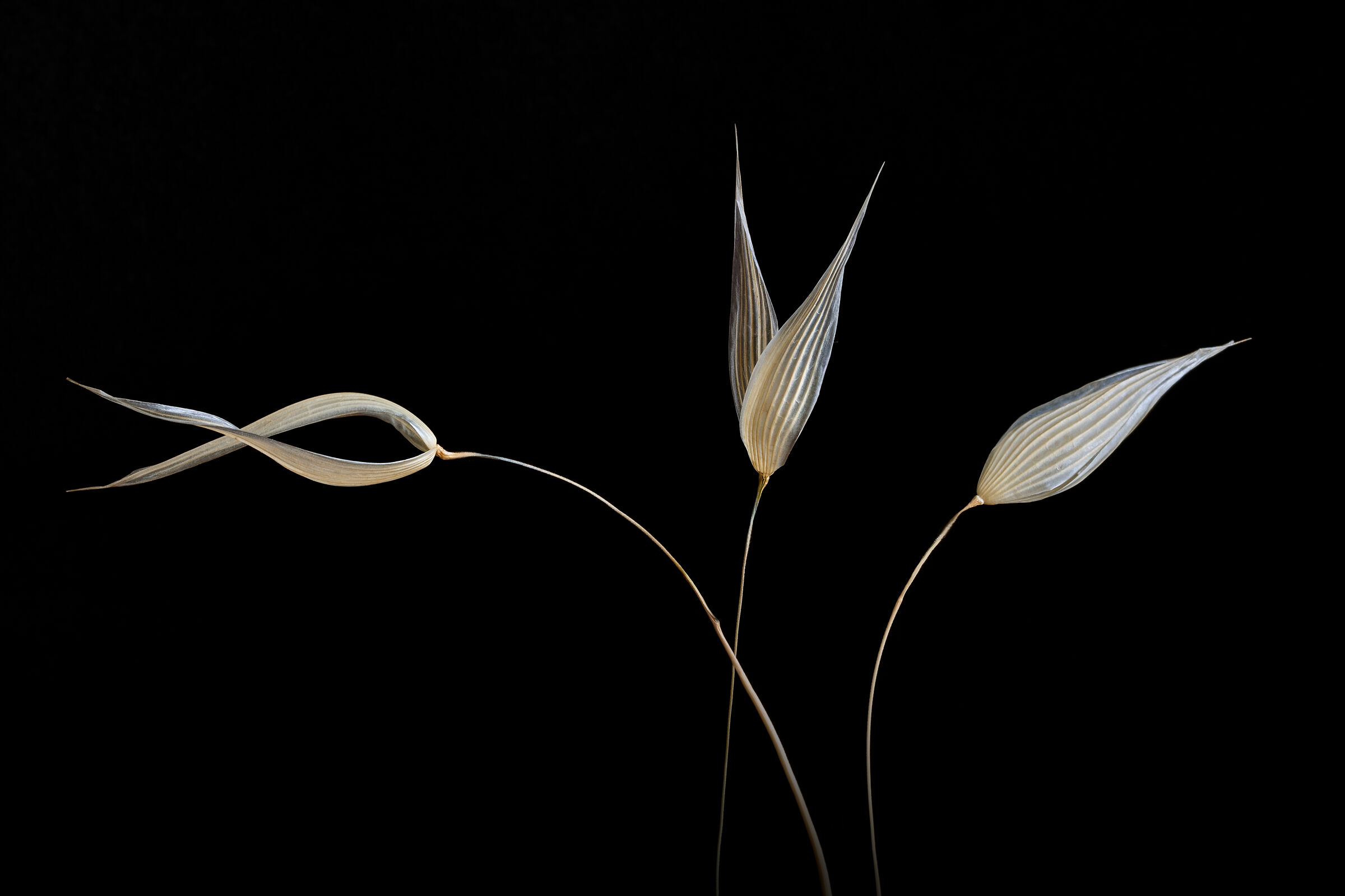 Lettere di un alfabeto sconosciuto