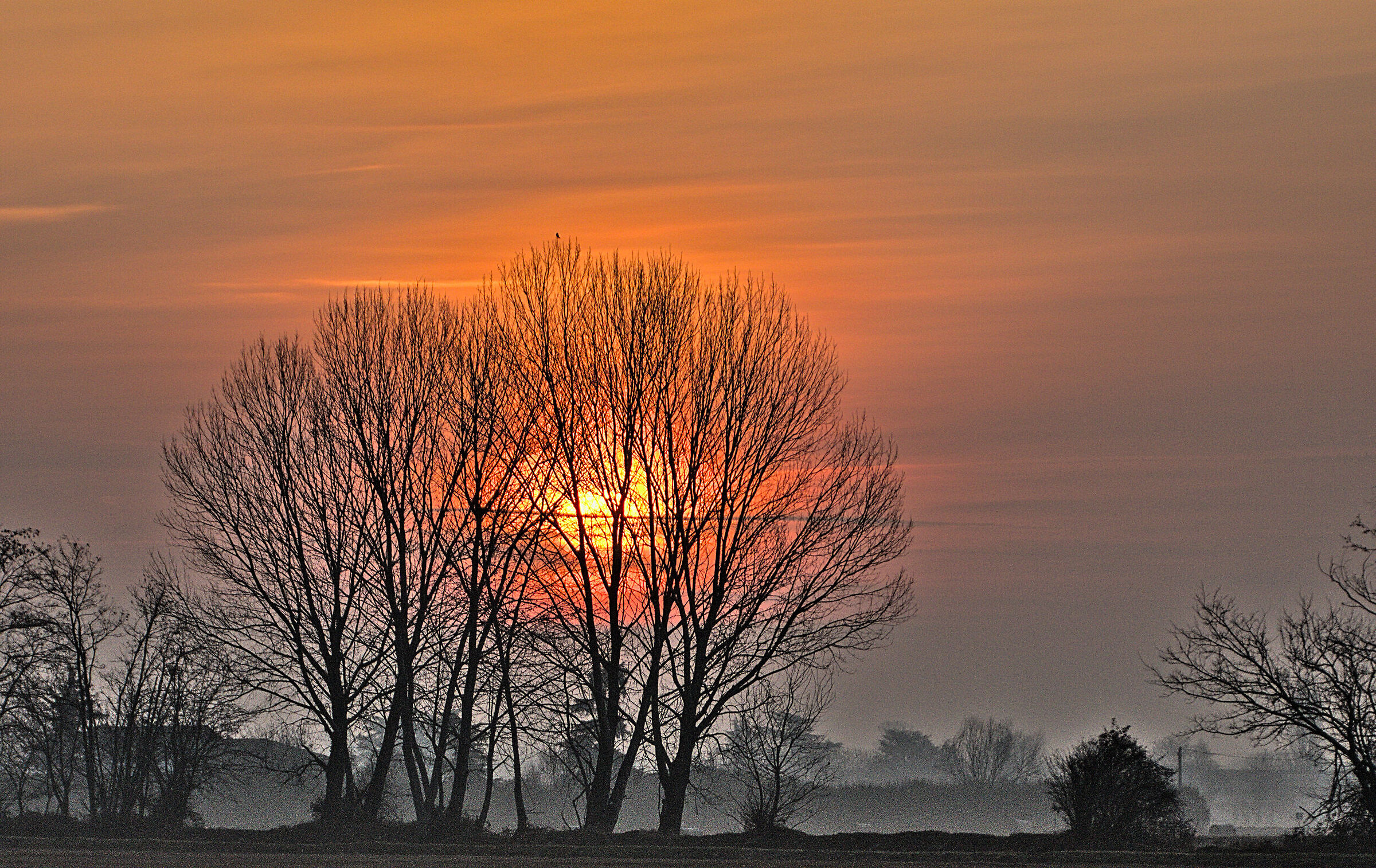 Dawn