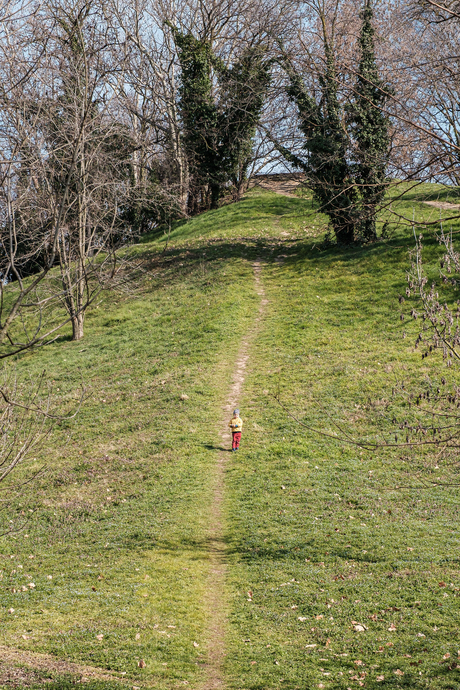 Nel mezzo del sentiero