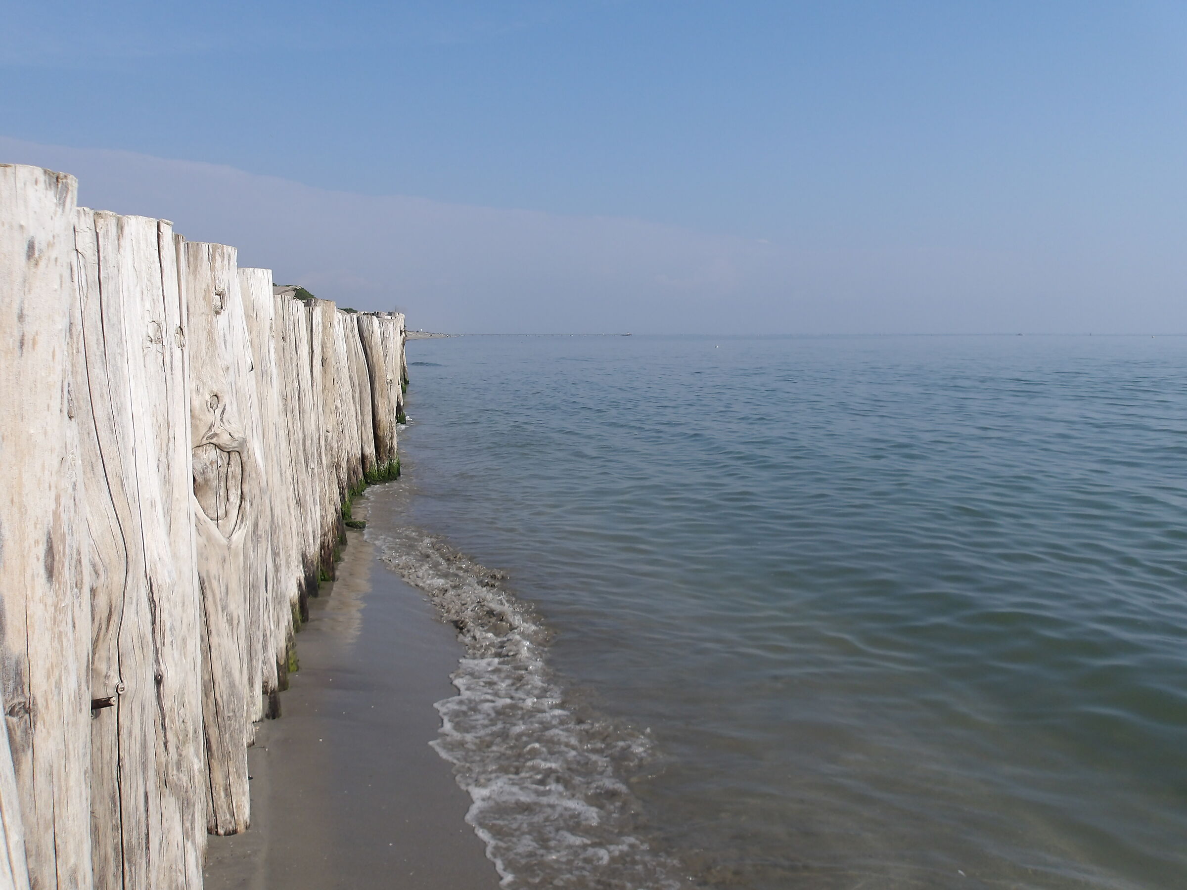 Palizzata nell'Adriatico