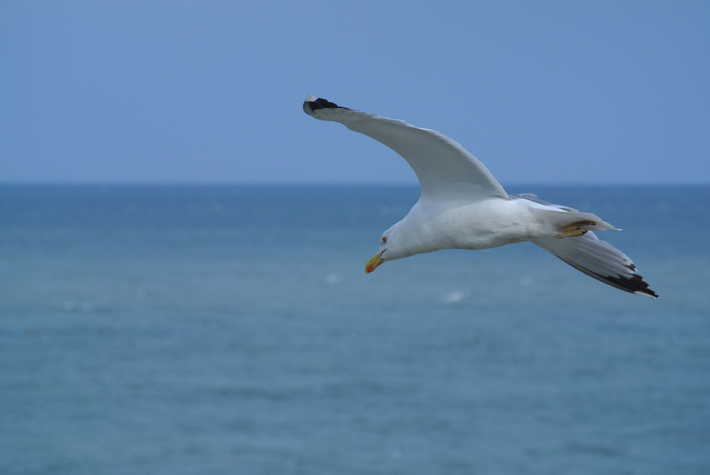 in flight