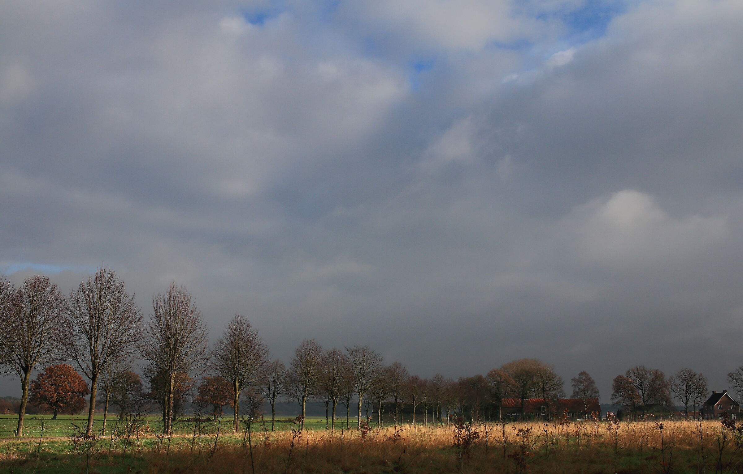 Roosendaal - Nederland