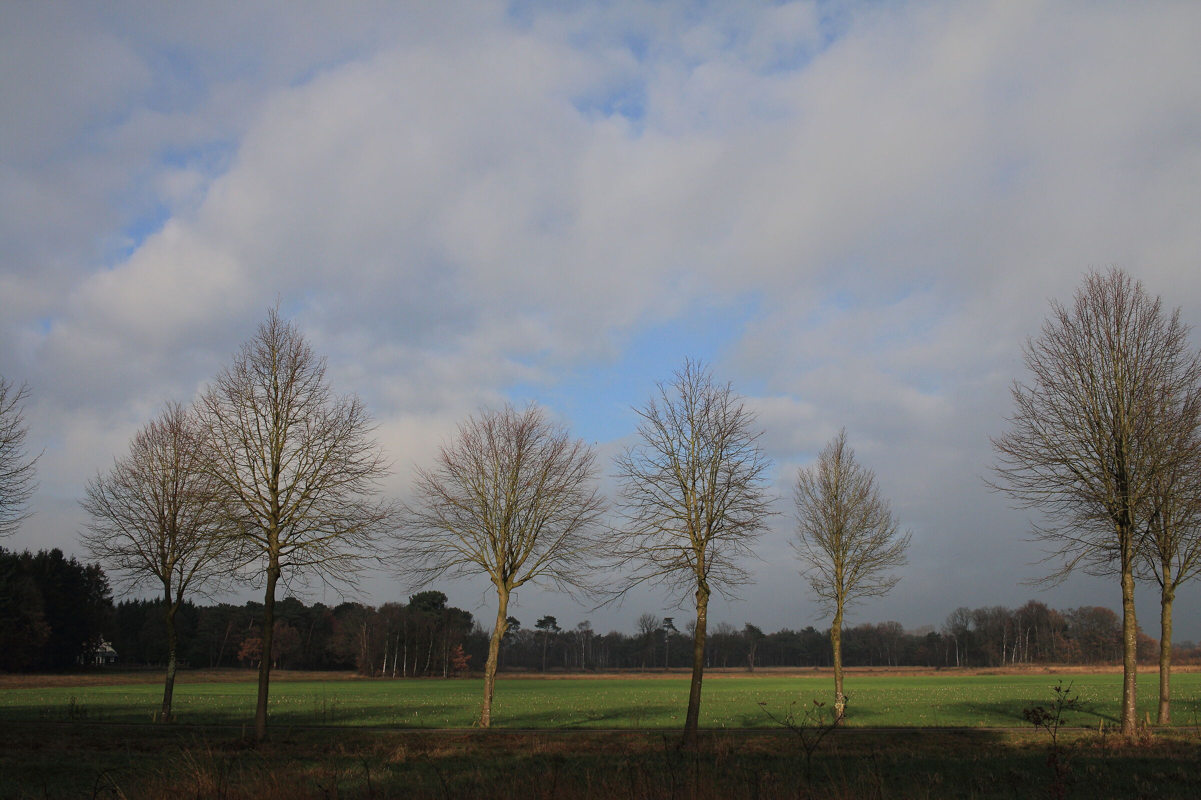 Roosendaal - Nederland