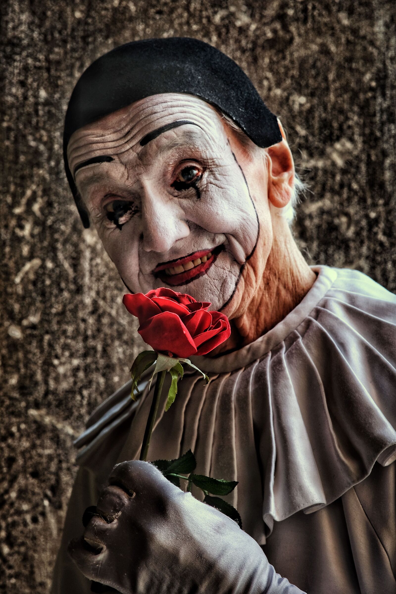 Pierrot, a rose