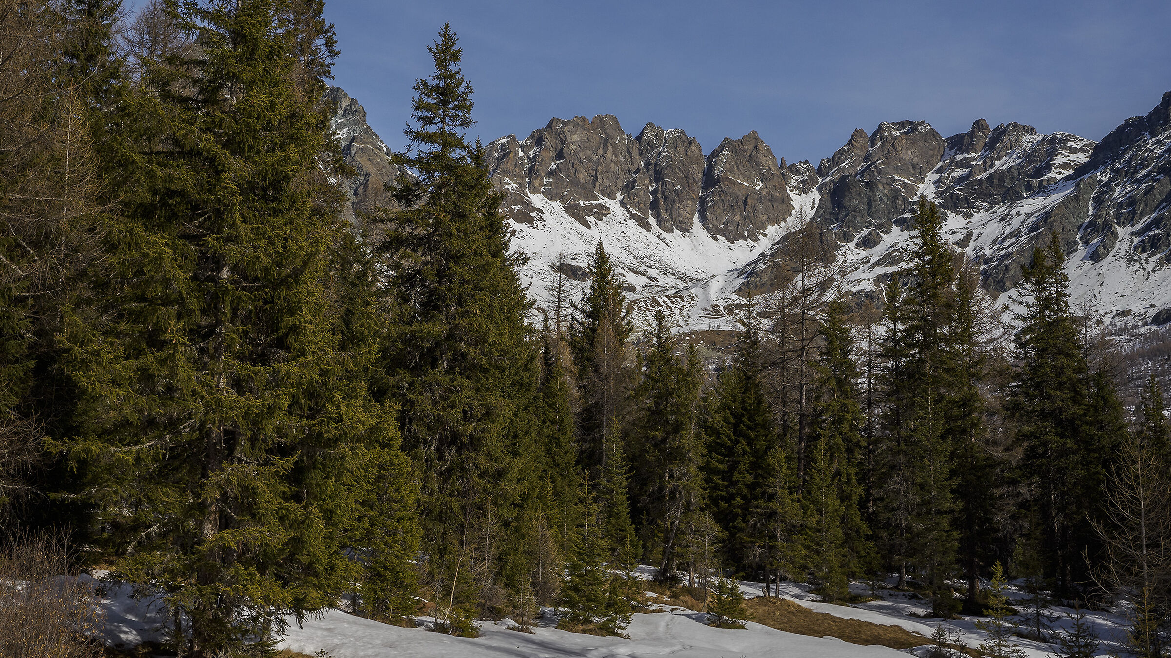 Cime di Musella