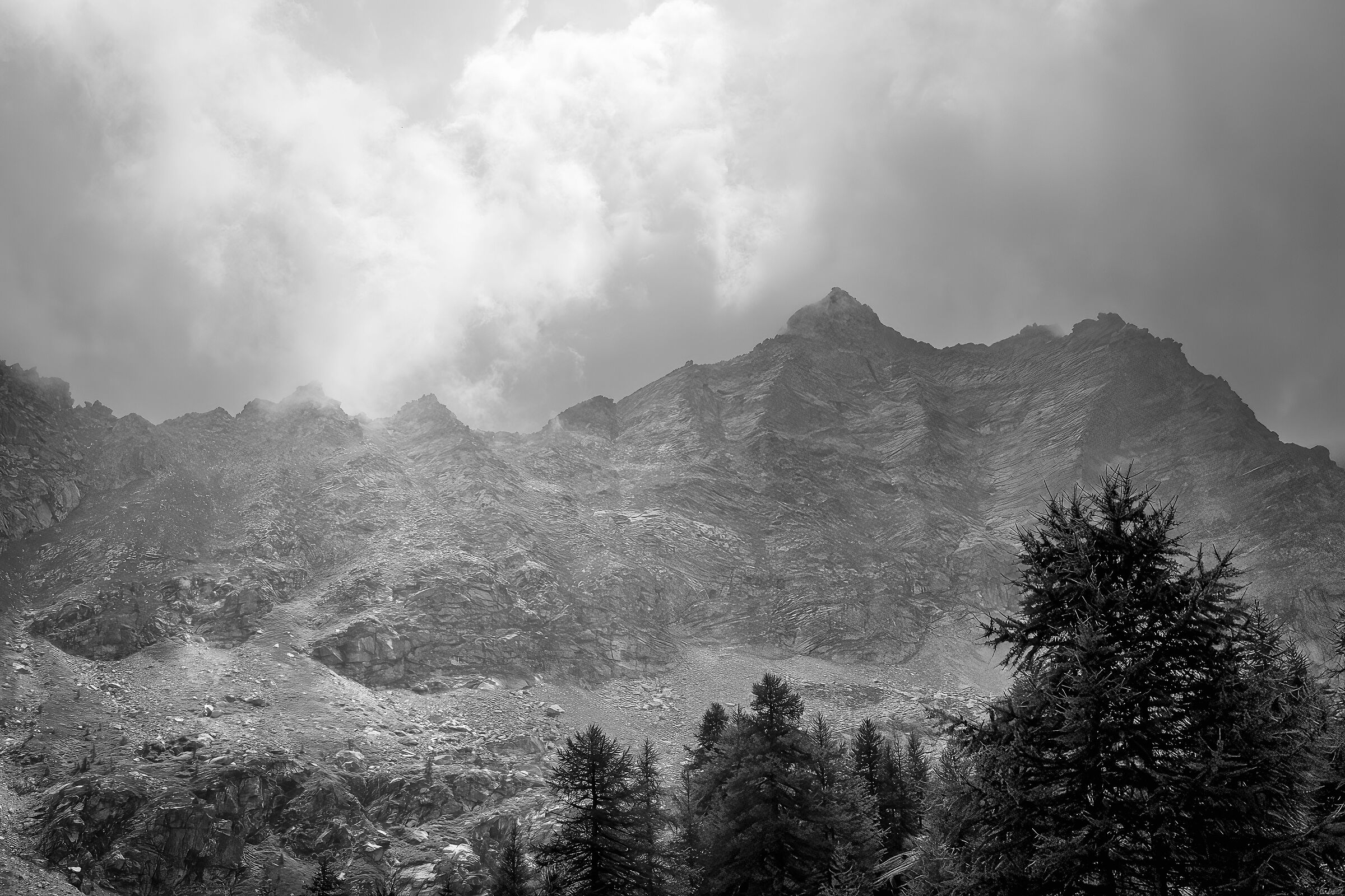 Suisse
