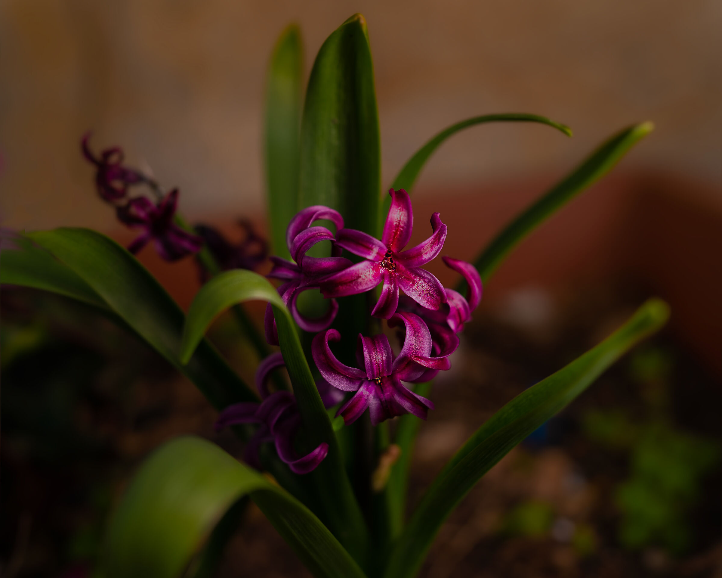 Untitled Photo