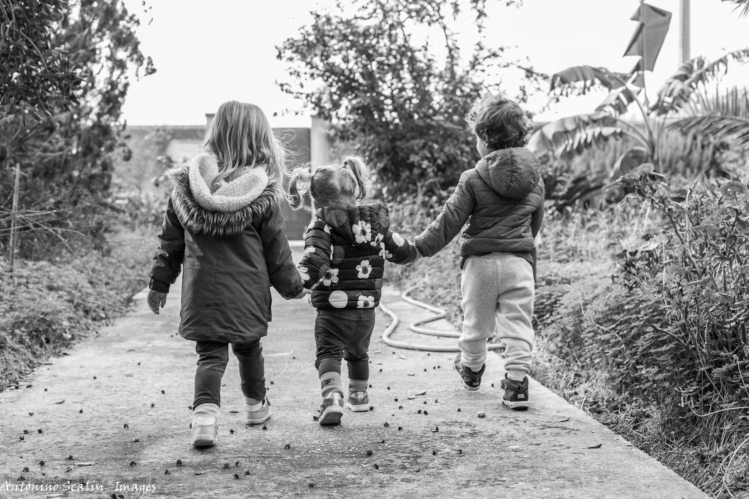 A passeggio con i miei amici