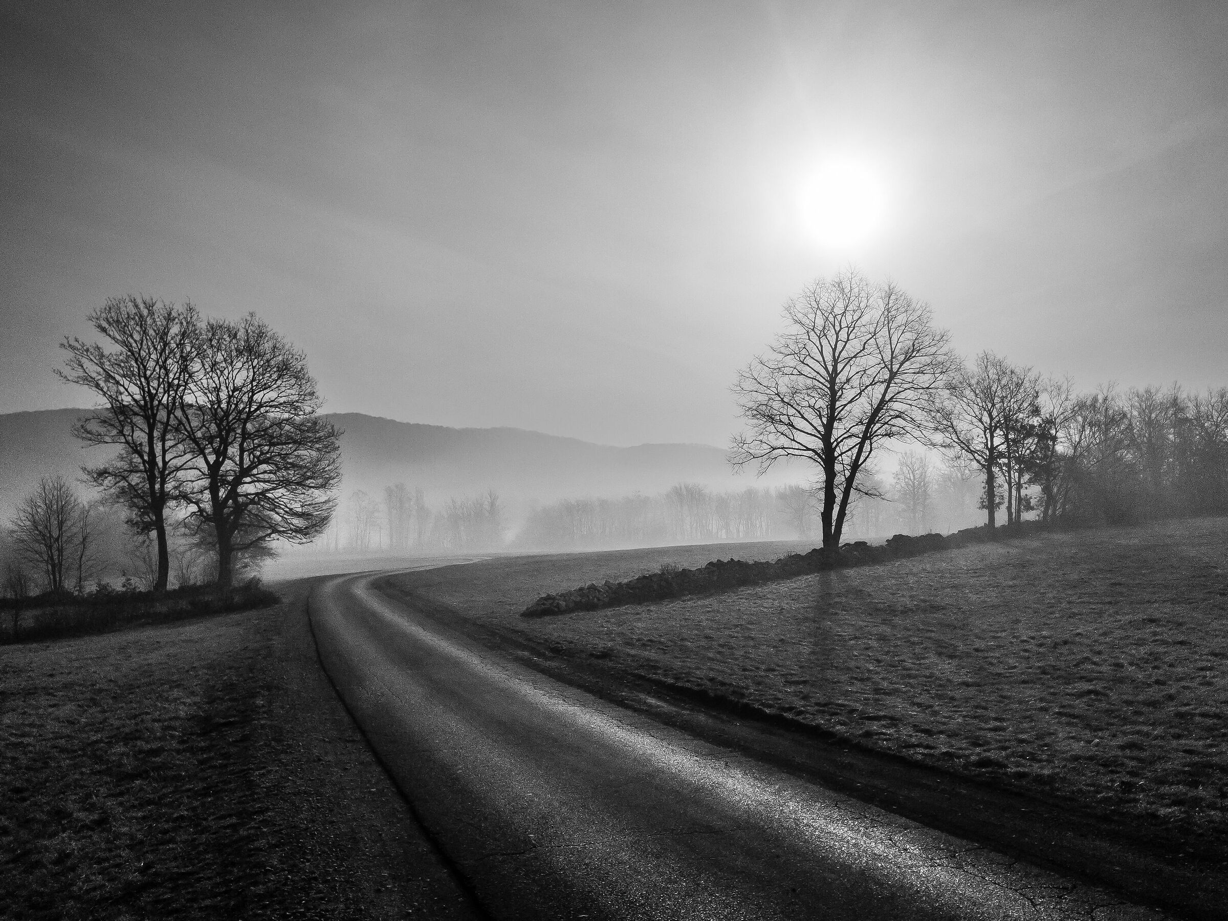 Il risveglio del carso...